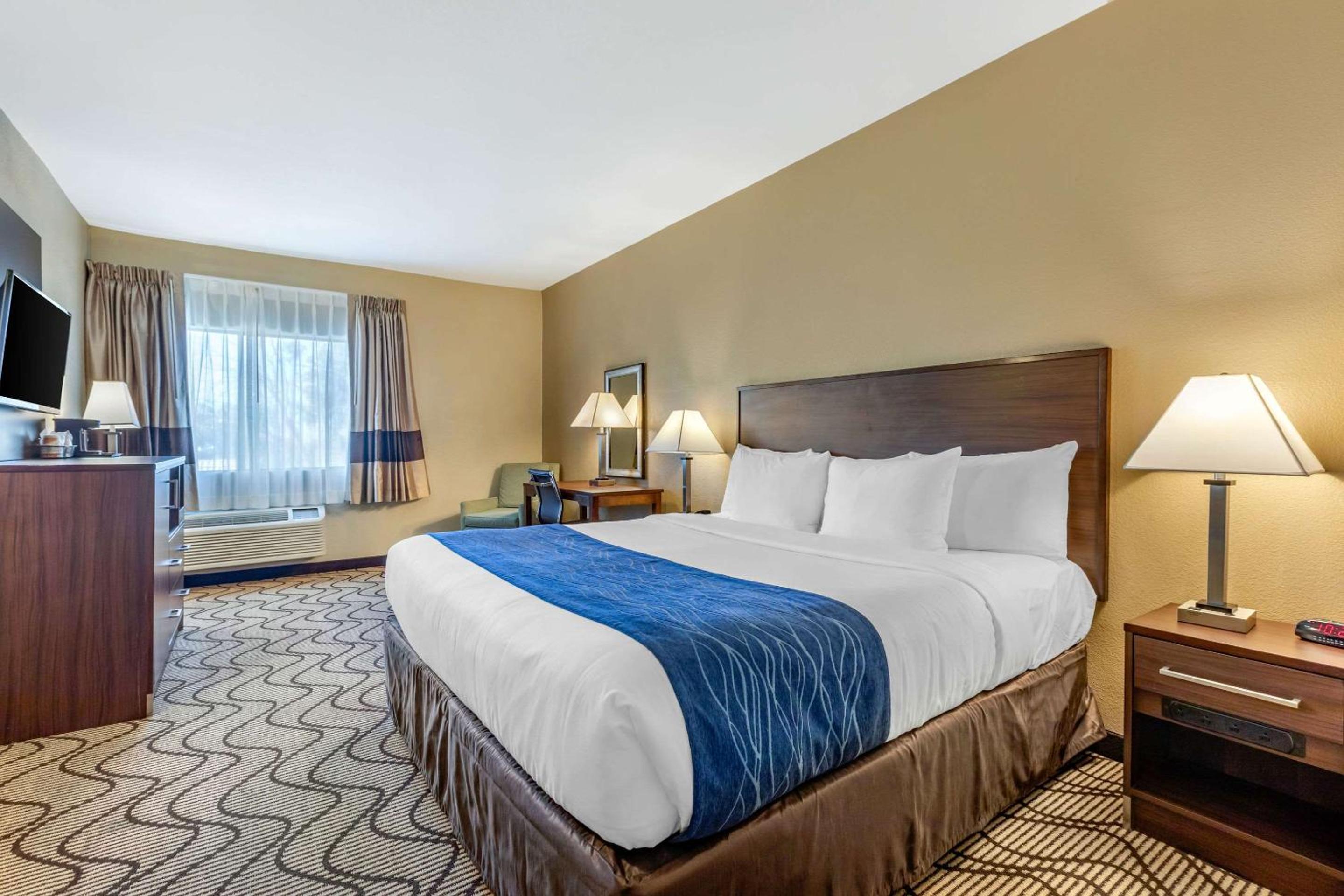Standard Room, 1 King Bed, Accessible Roll-In Shower, Non Smoking - Photo 4