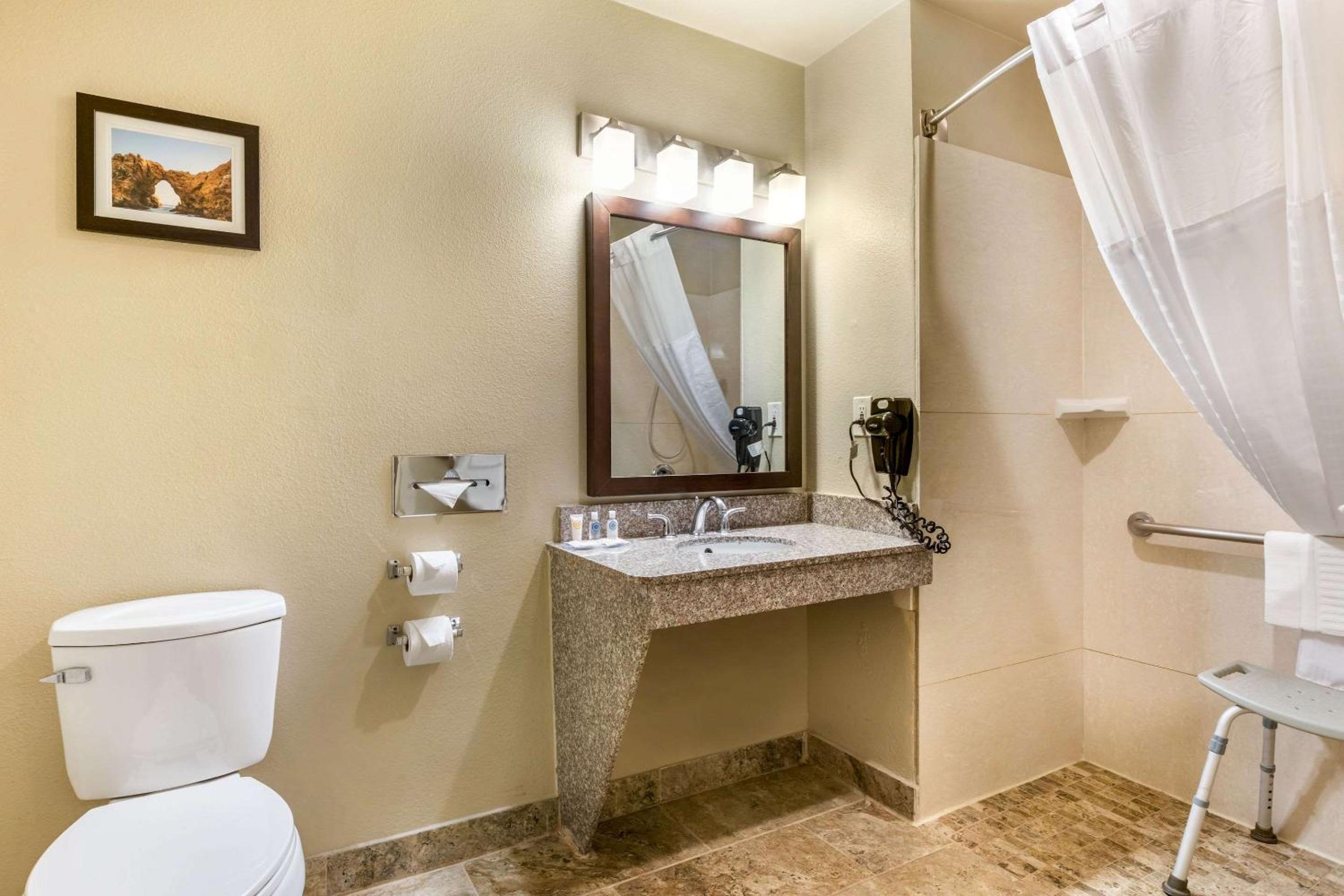Standard Room, 1 King Bed, Accessible Roll-In Shower, Non Smoking - Photo 6