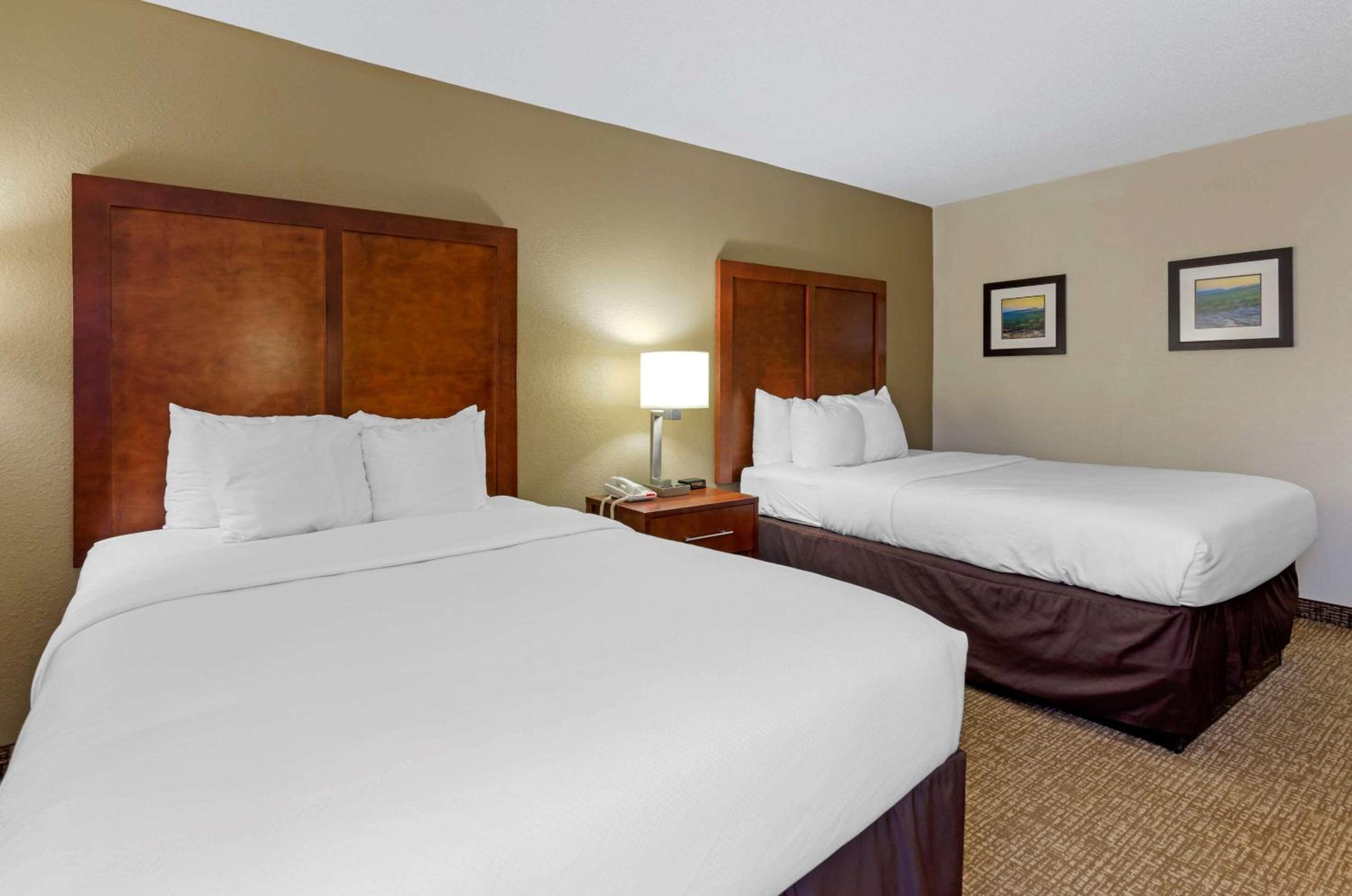 Double Room with Two Double Beds - Accessible/Non-Smoking photo 1