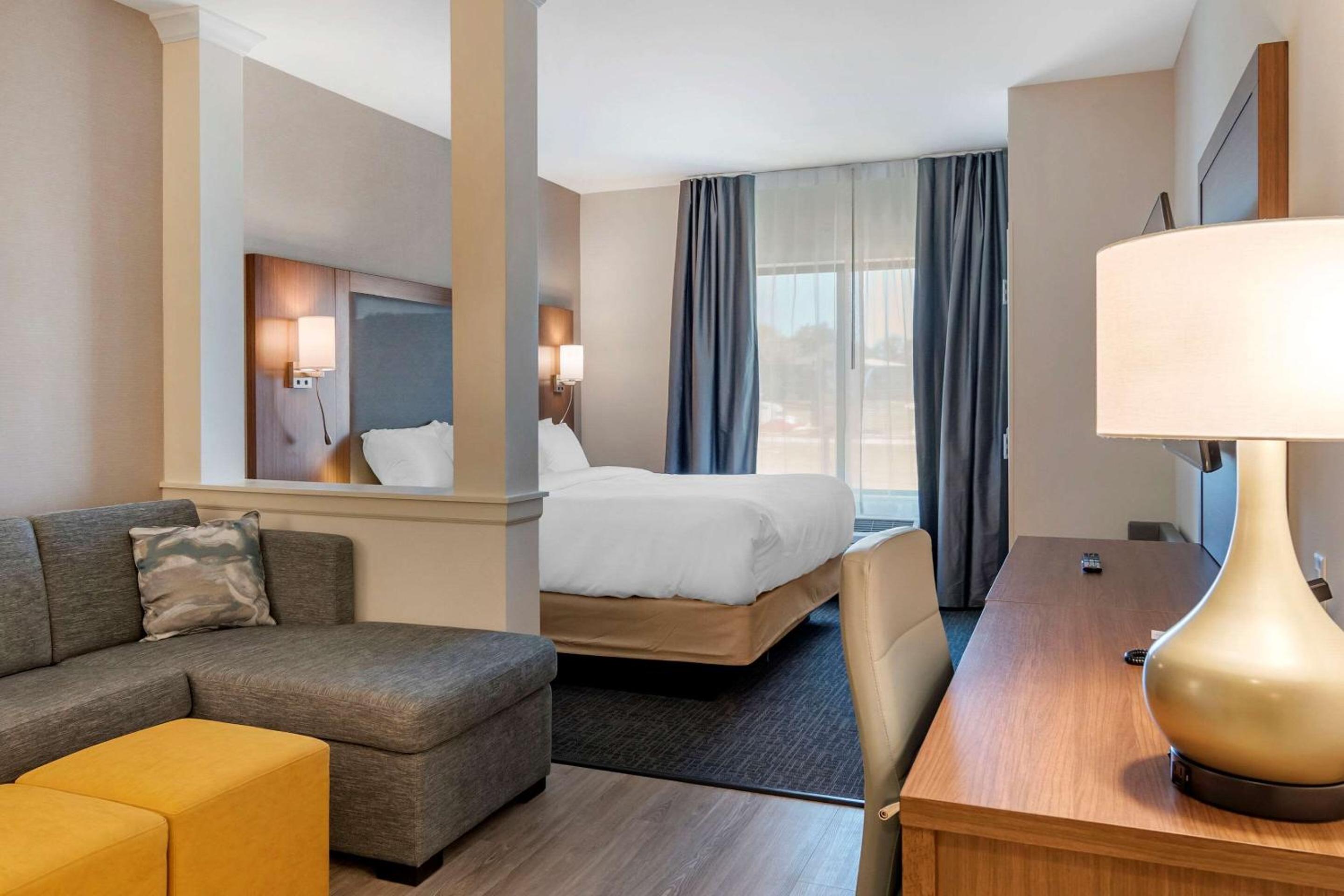 King Suite with Sofa Bed - Non-Smoking - Photo 1
