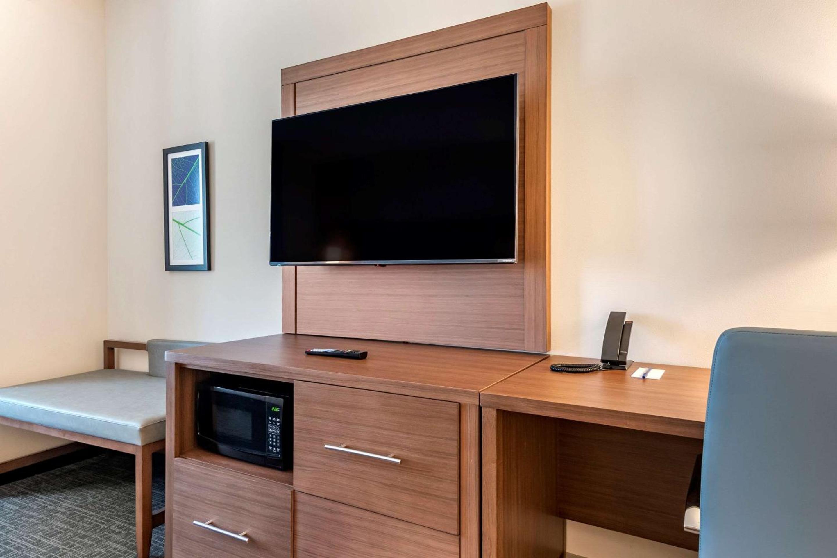 King Suite with Sofa Bed - Non-Smoking - Photo 5