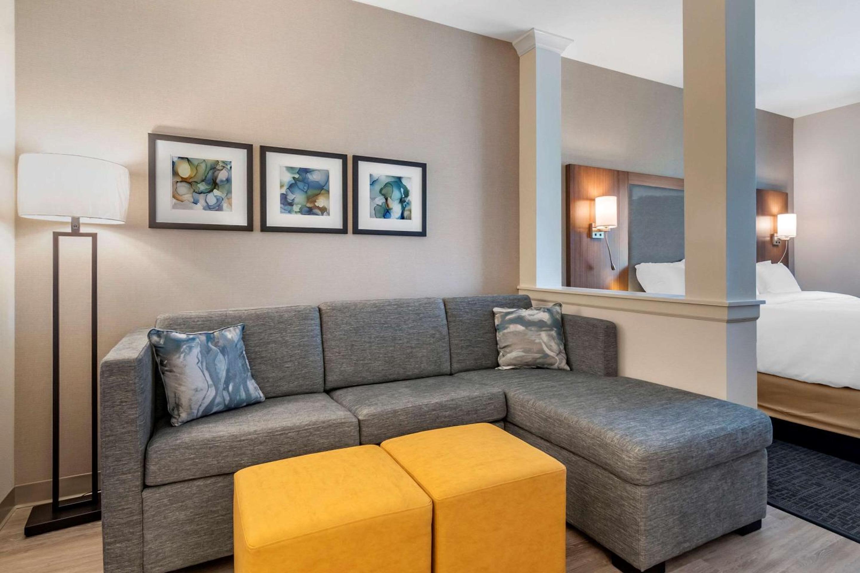 King Suite with Sofa Bed - Non-Smoking - Photo 4