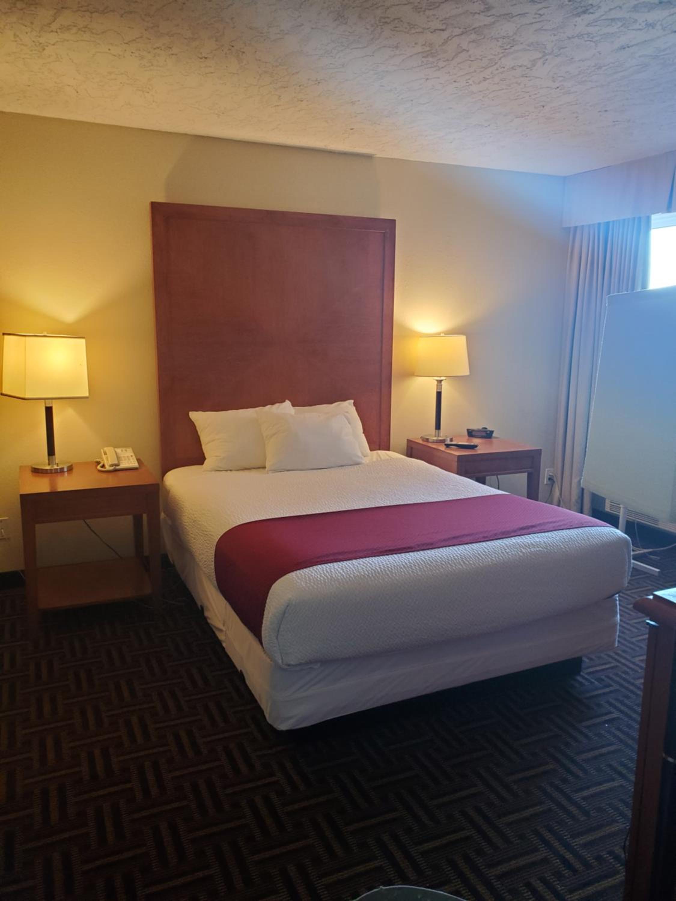 Standard Queen Room