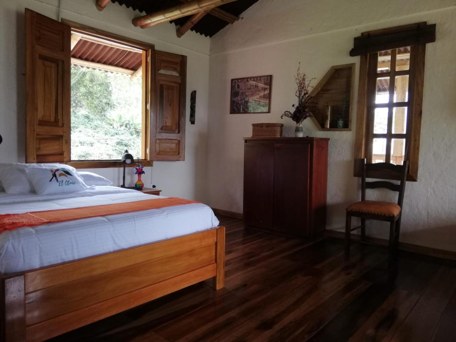 Twin Room photo 3