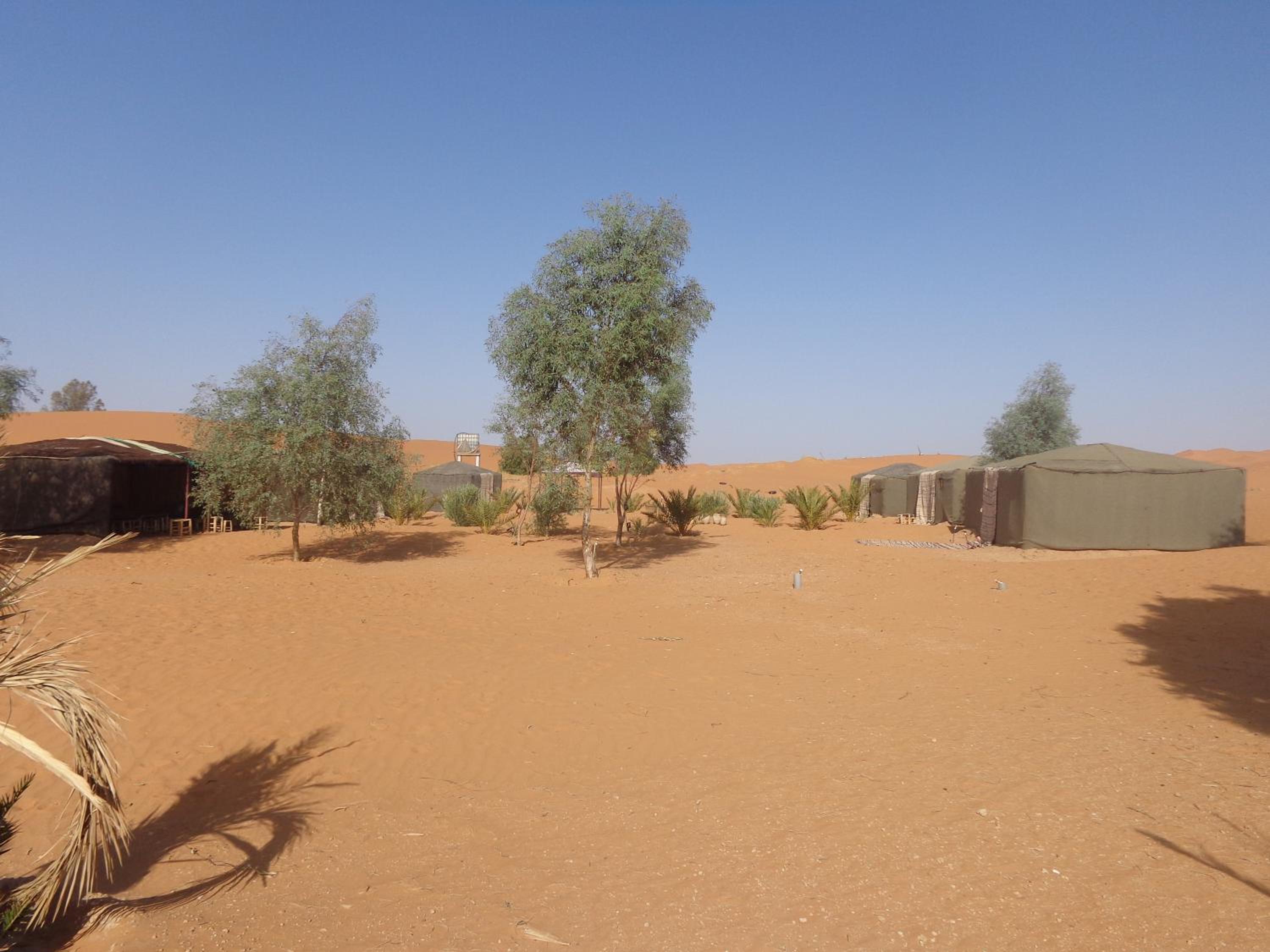 Quadruple Tent - Photo 10