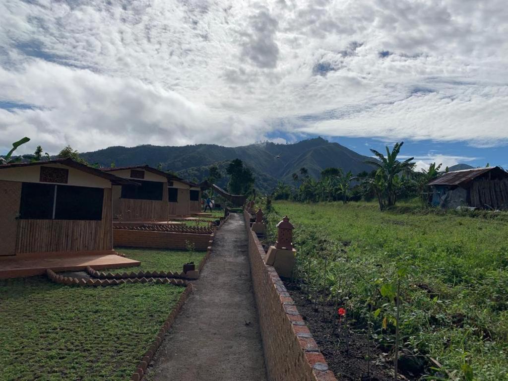 Bungalow with Garden View photo 2
