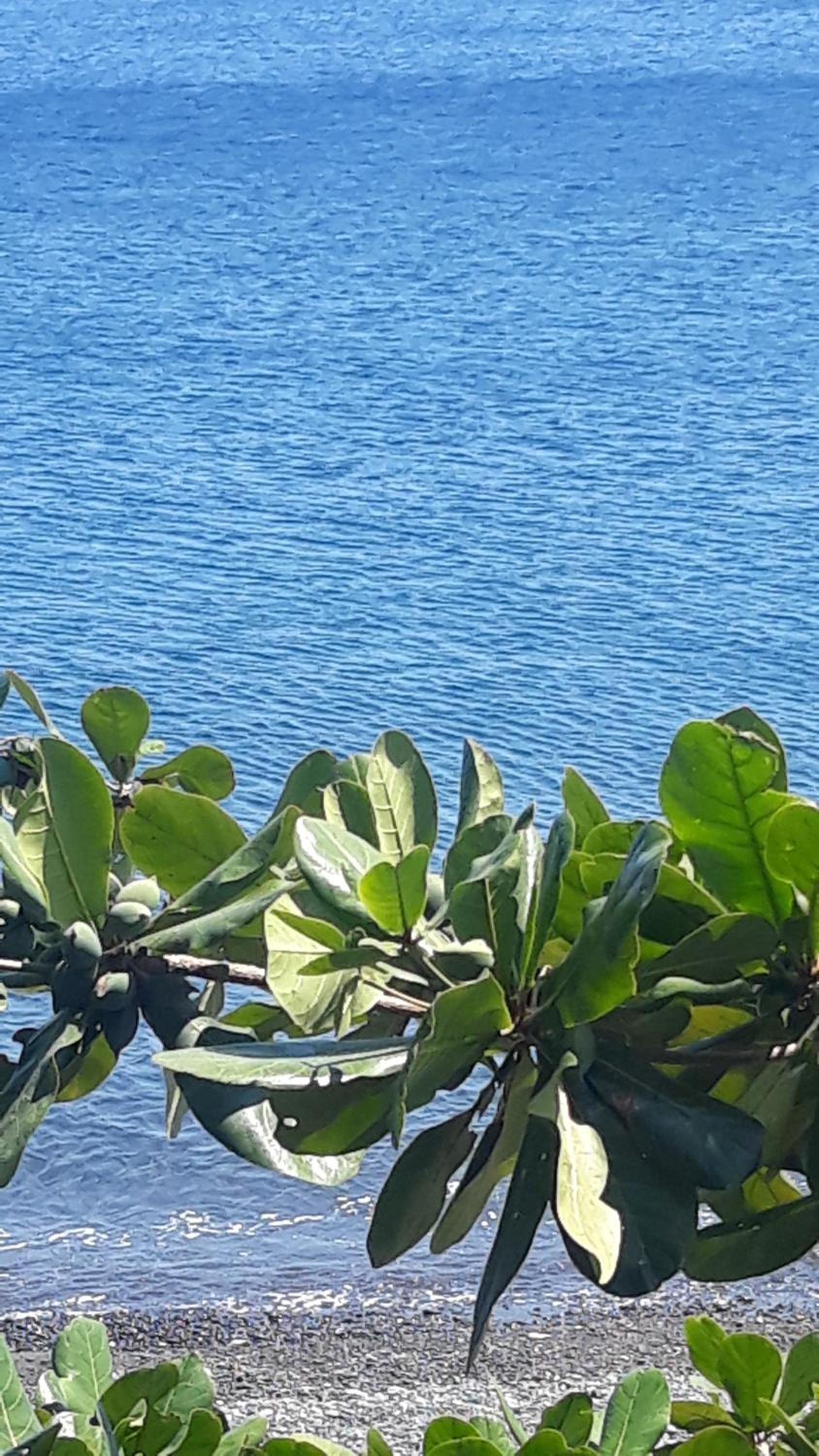 Deluxe Double Room with Sea View - Photo 21