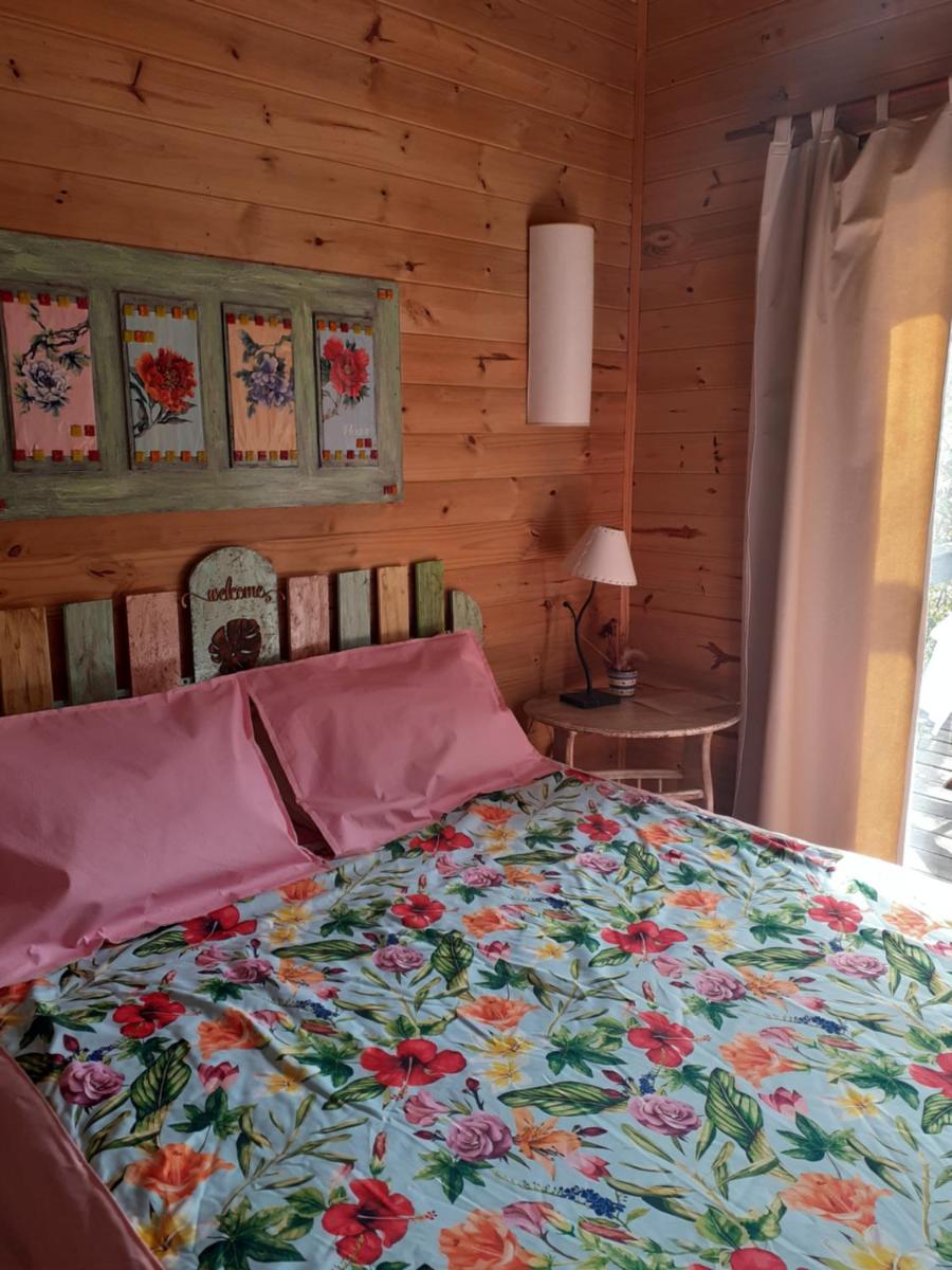 Holiday Home photo 1