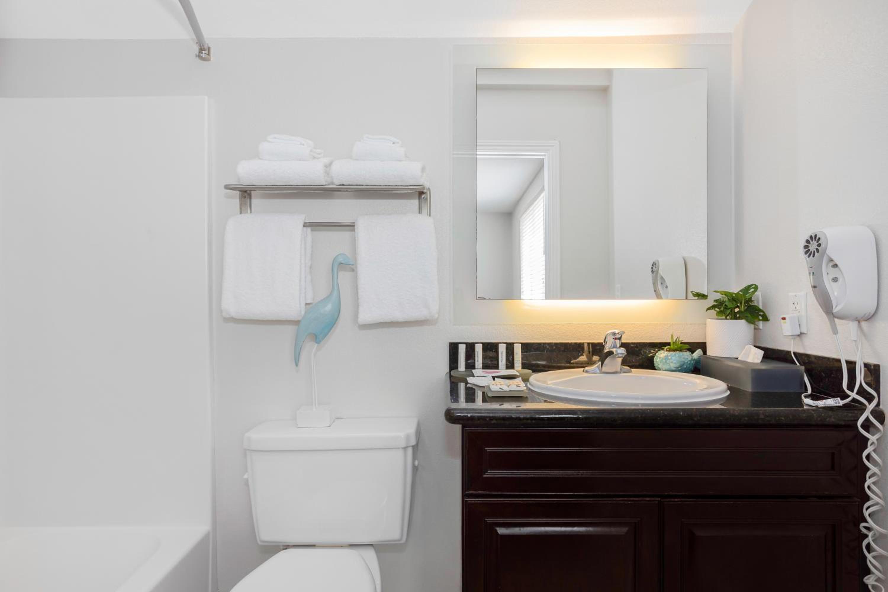 King Suite - Photo 6