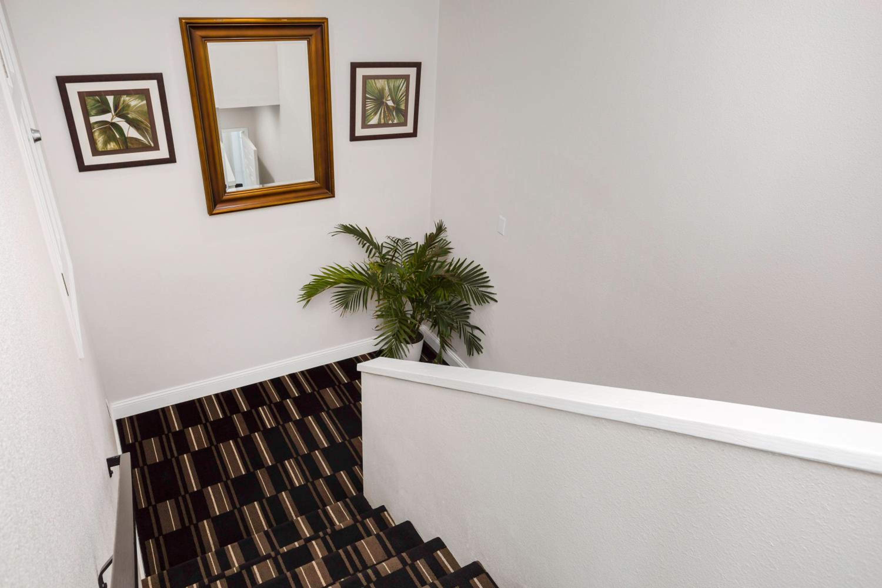 King Suite - Photo 12
