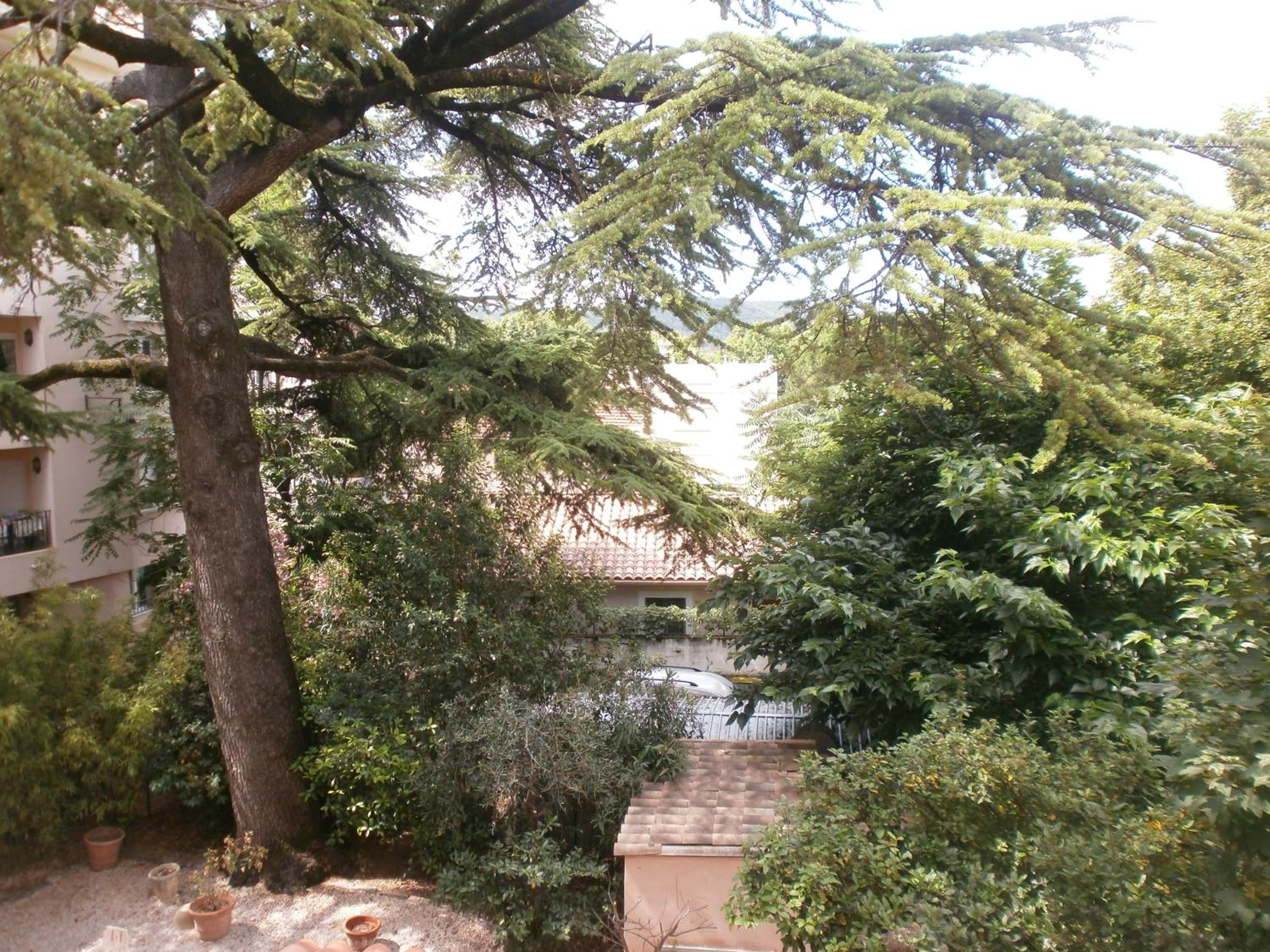 Superior Double Room with Garden View - Photo 8
