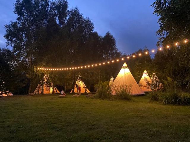Tent photo 3