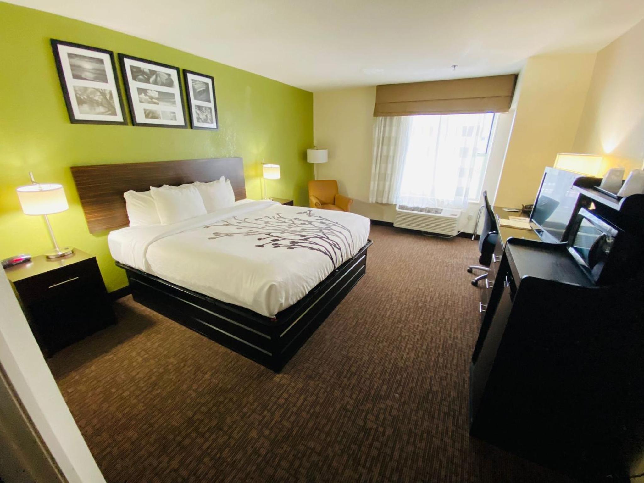 King Room - Non-Smoking - Photo 4