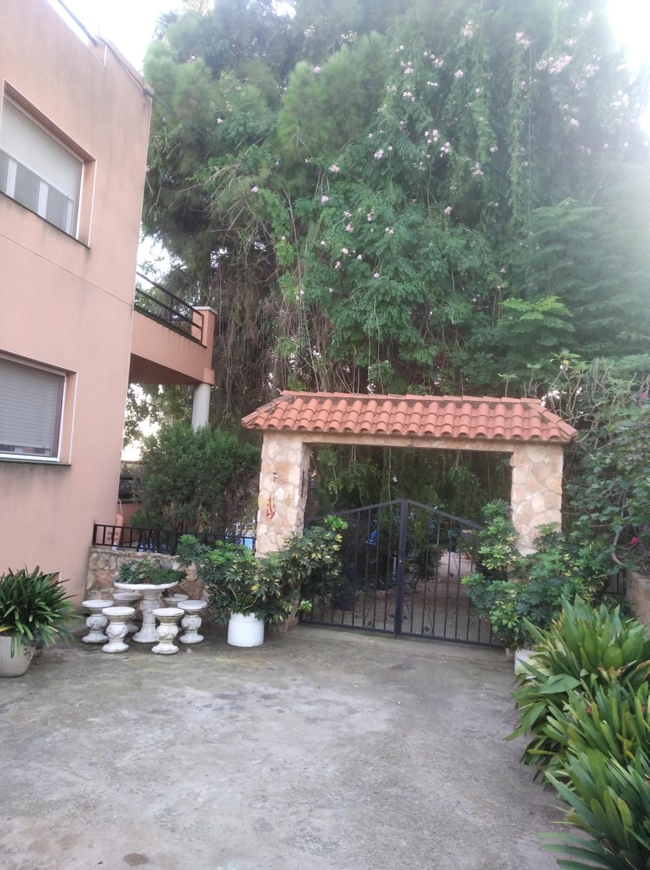 Apartment with Terrace photo 2