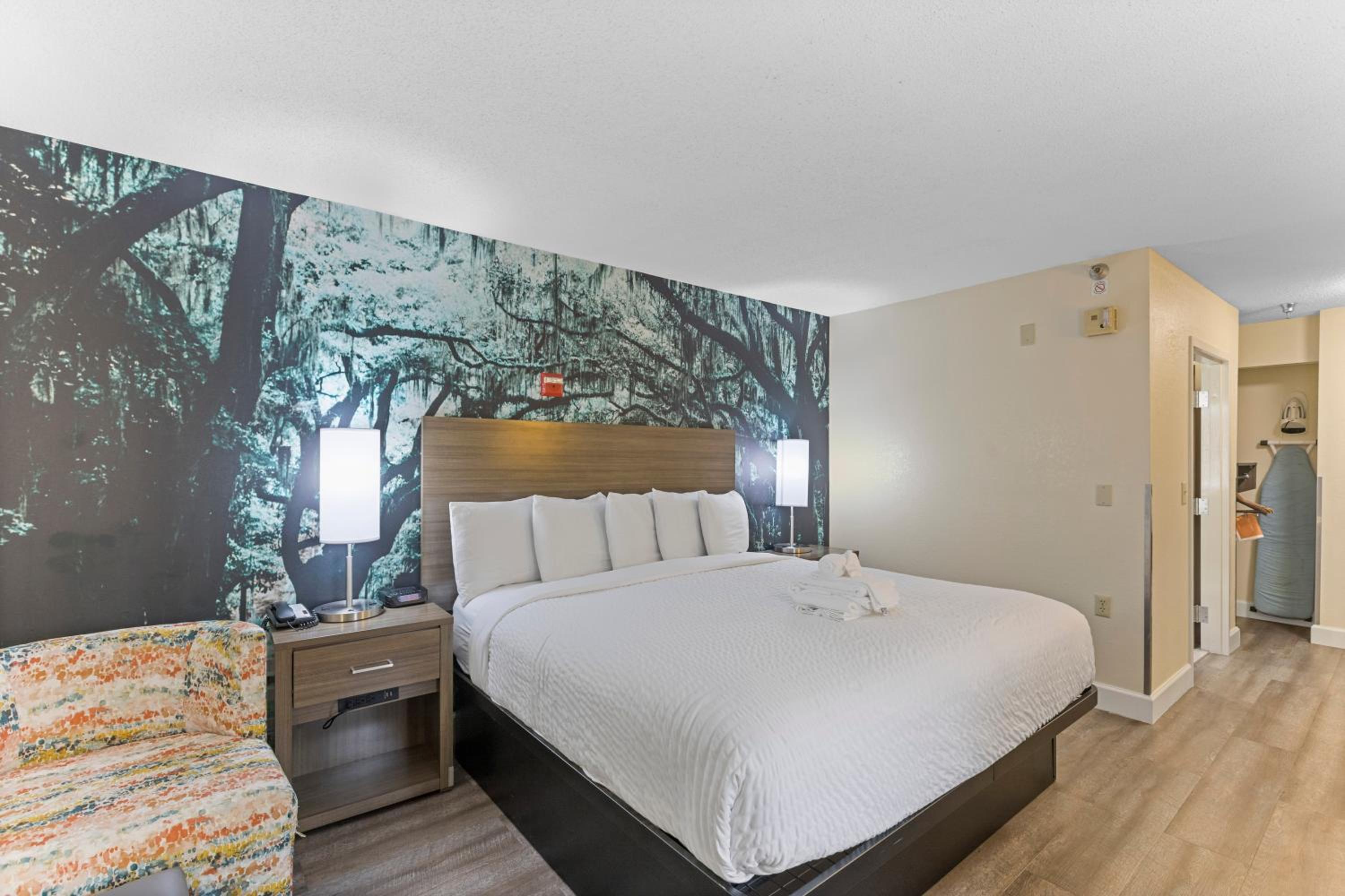 King Room with Roll-In Shower - Accessible/Non-Smoking - Photo 4