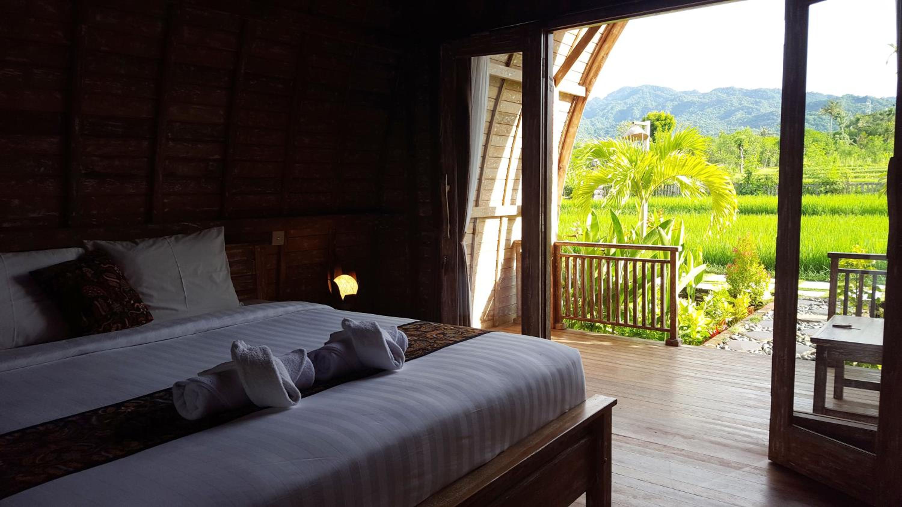 Deluxe Double or Twin Room with Mountain View