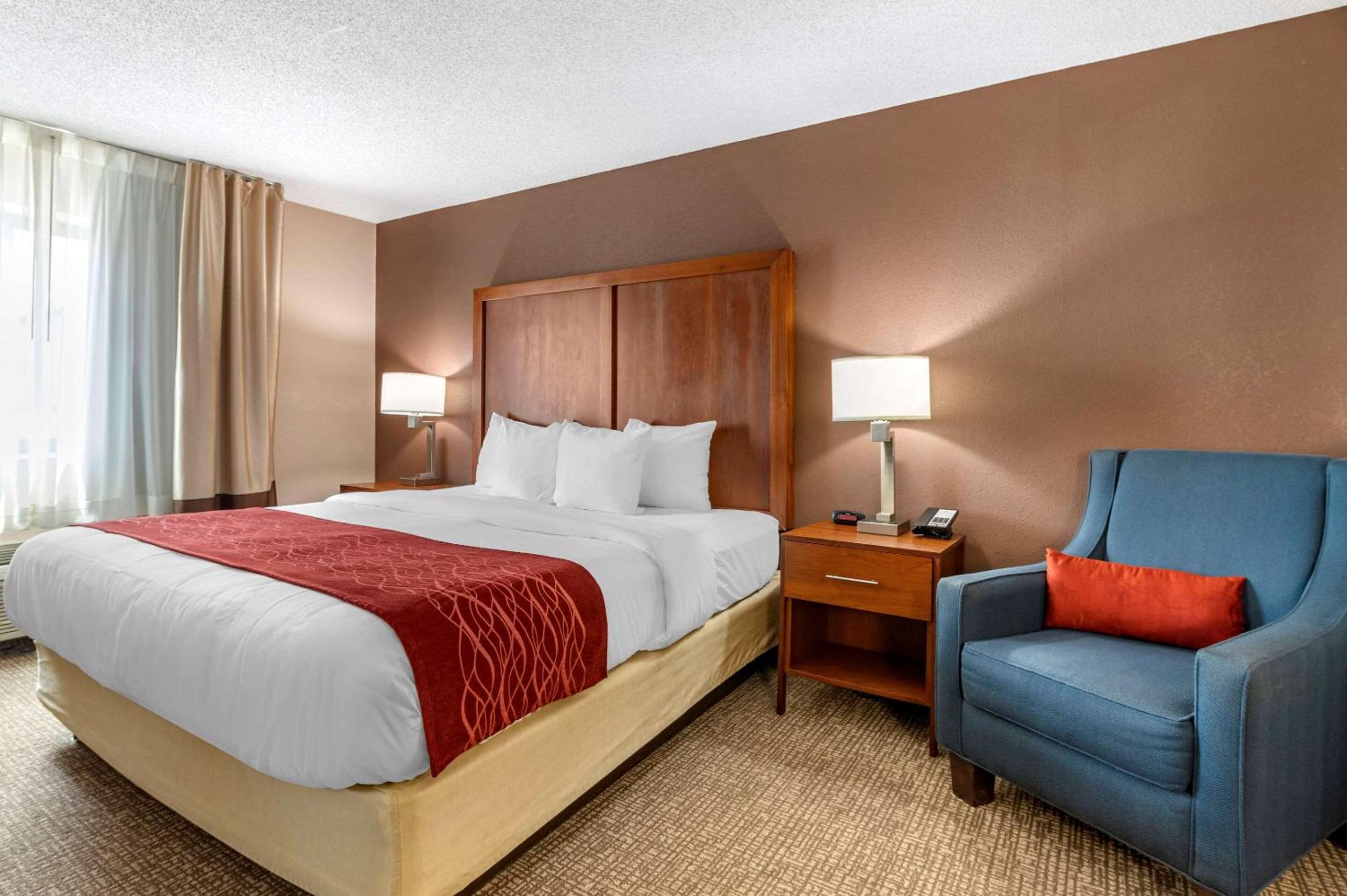 King Suite with Sofa Bed - Non-Smoking - Photo 1