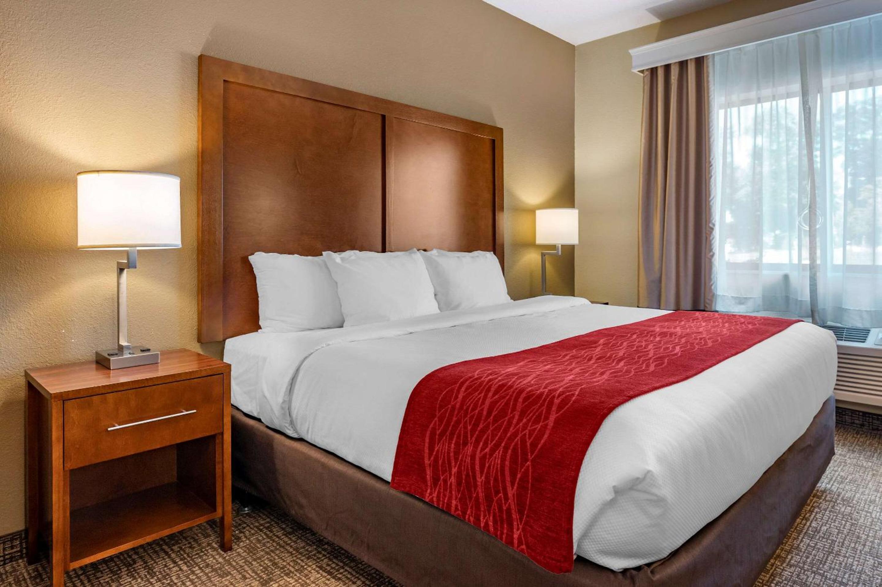 King Room - Non-Smoking - Photo 1