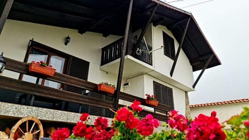Villa photo 3