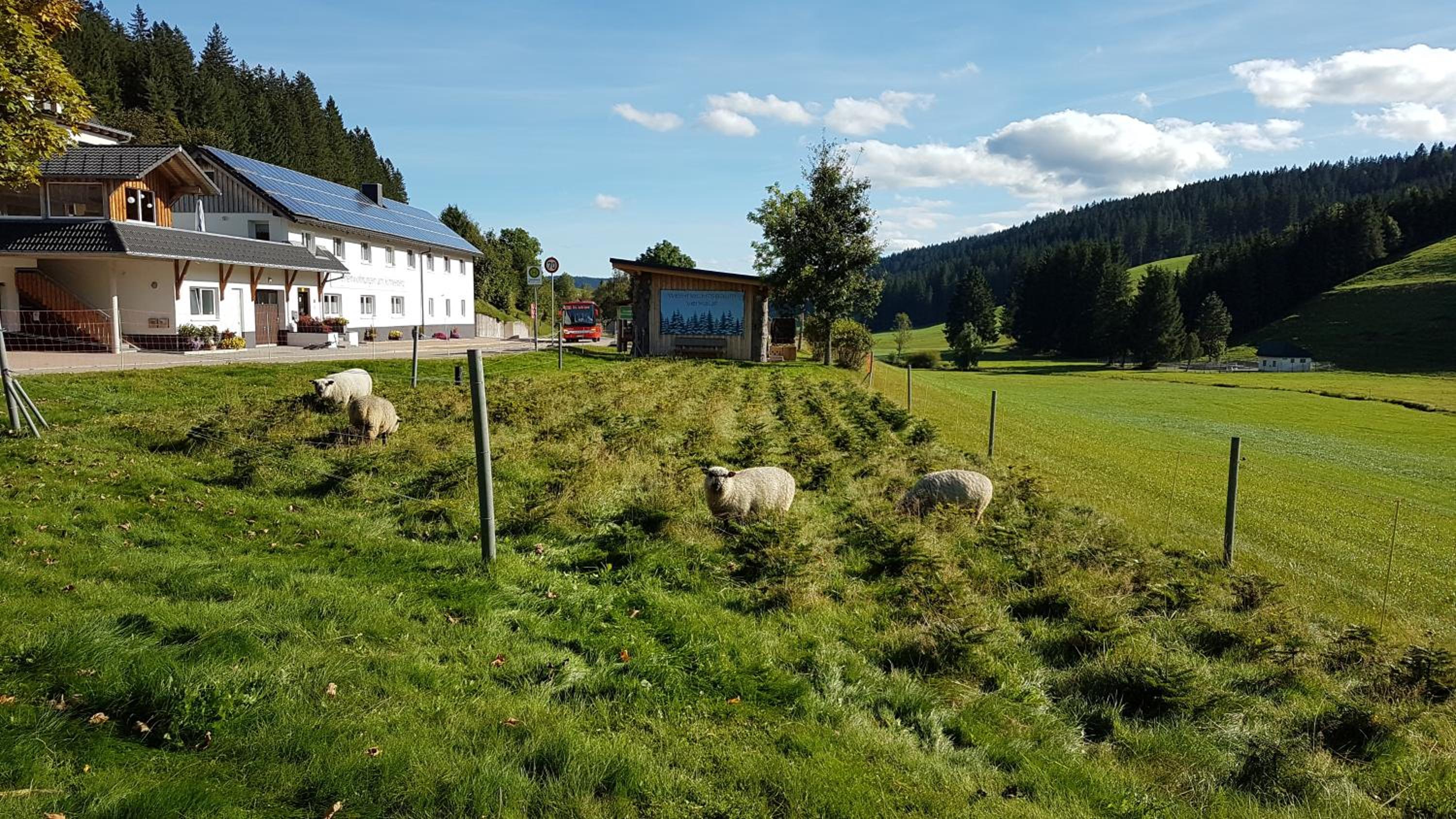 Apartment Dorfblick photo 2