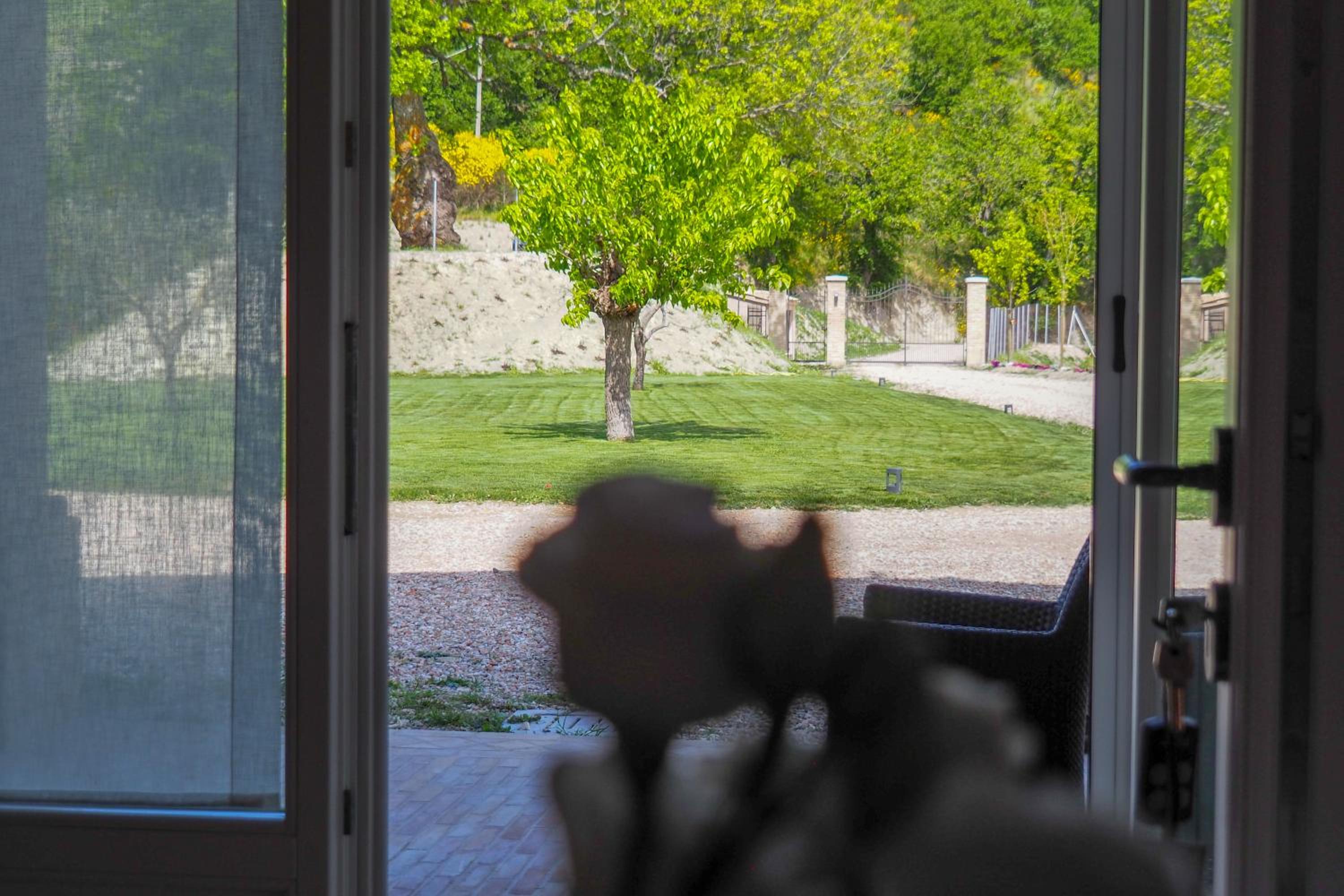 Apartment - Photo 19