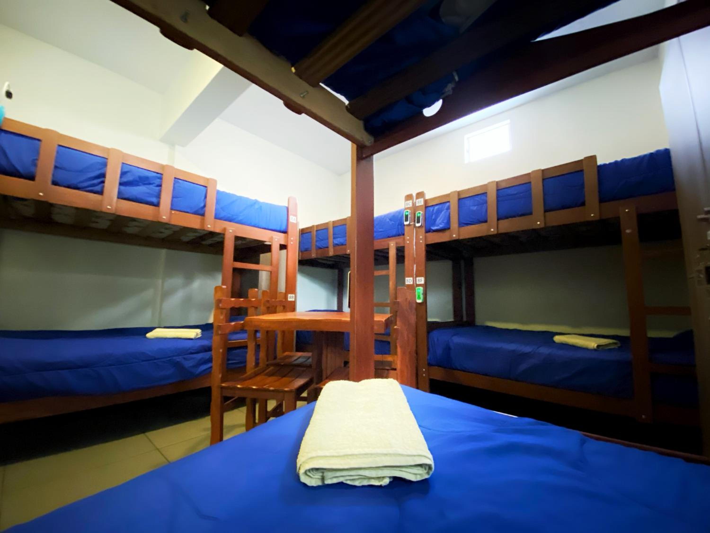 Bed in 8-Bed Mixed Dormitory Room photo 2