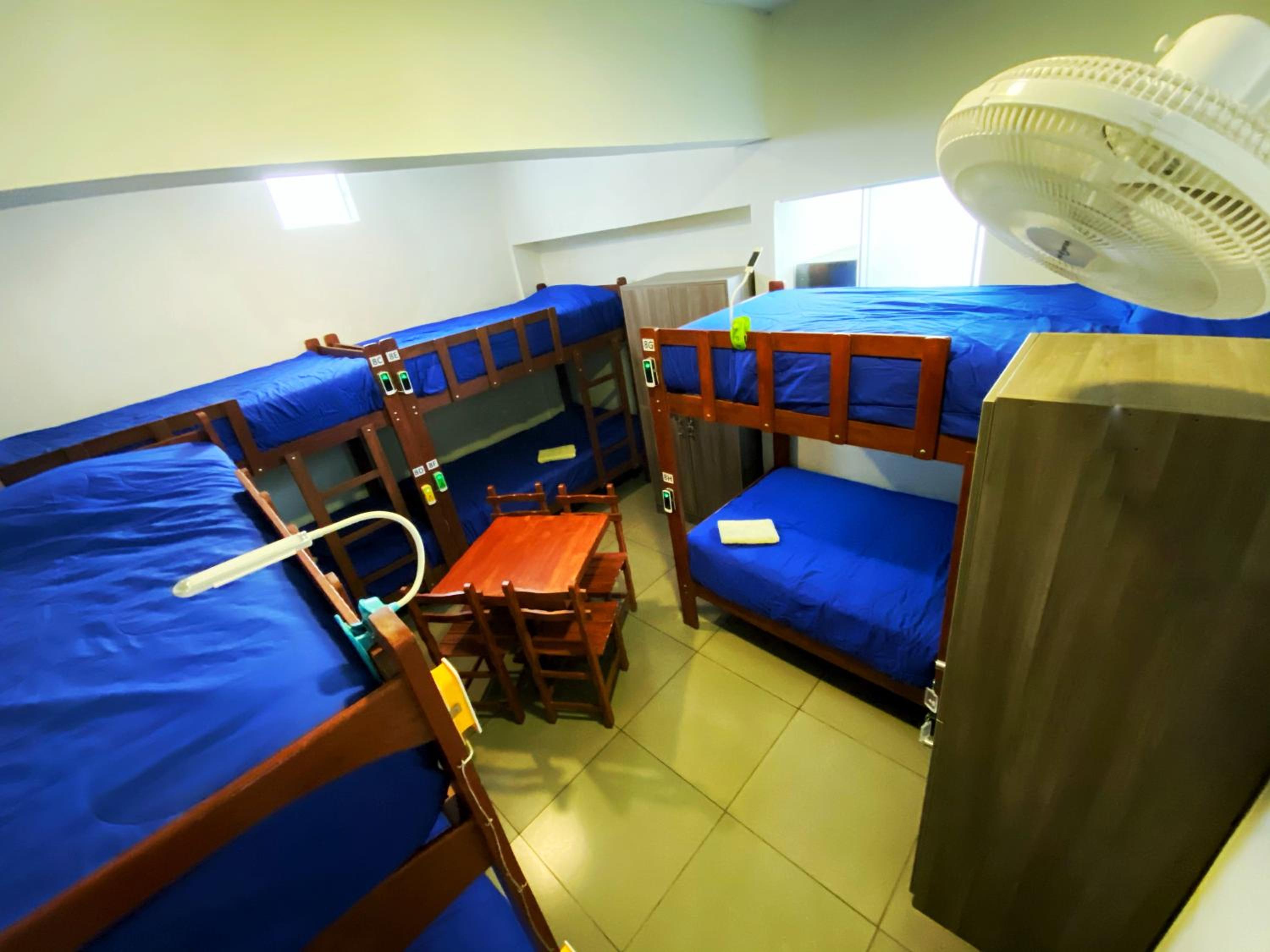 Bed in 8-Bed Mixed Dormitory Room photo 1