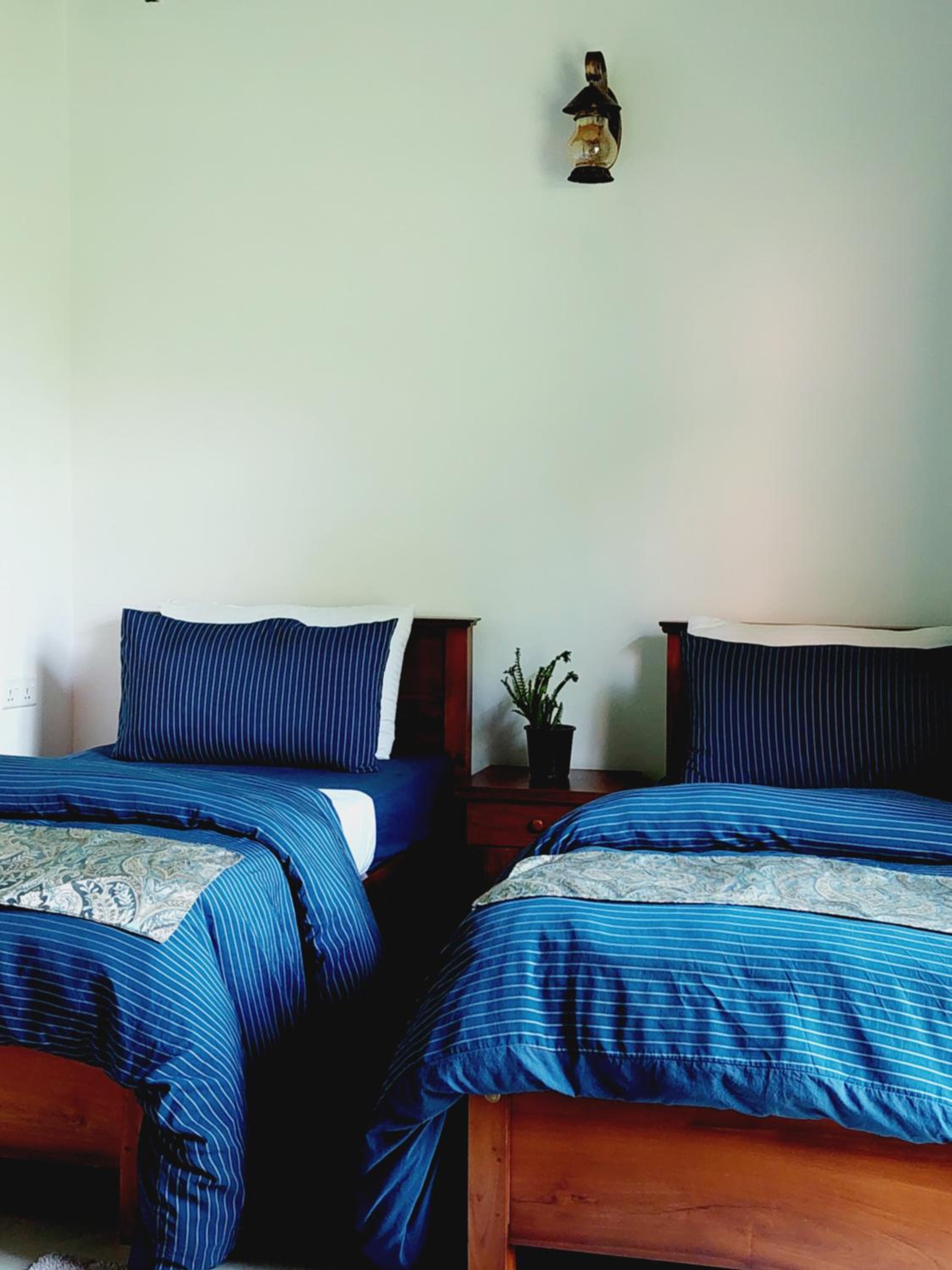 Deluxe Twin Room photo 2