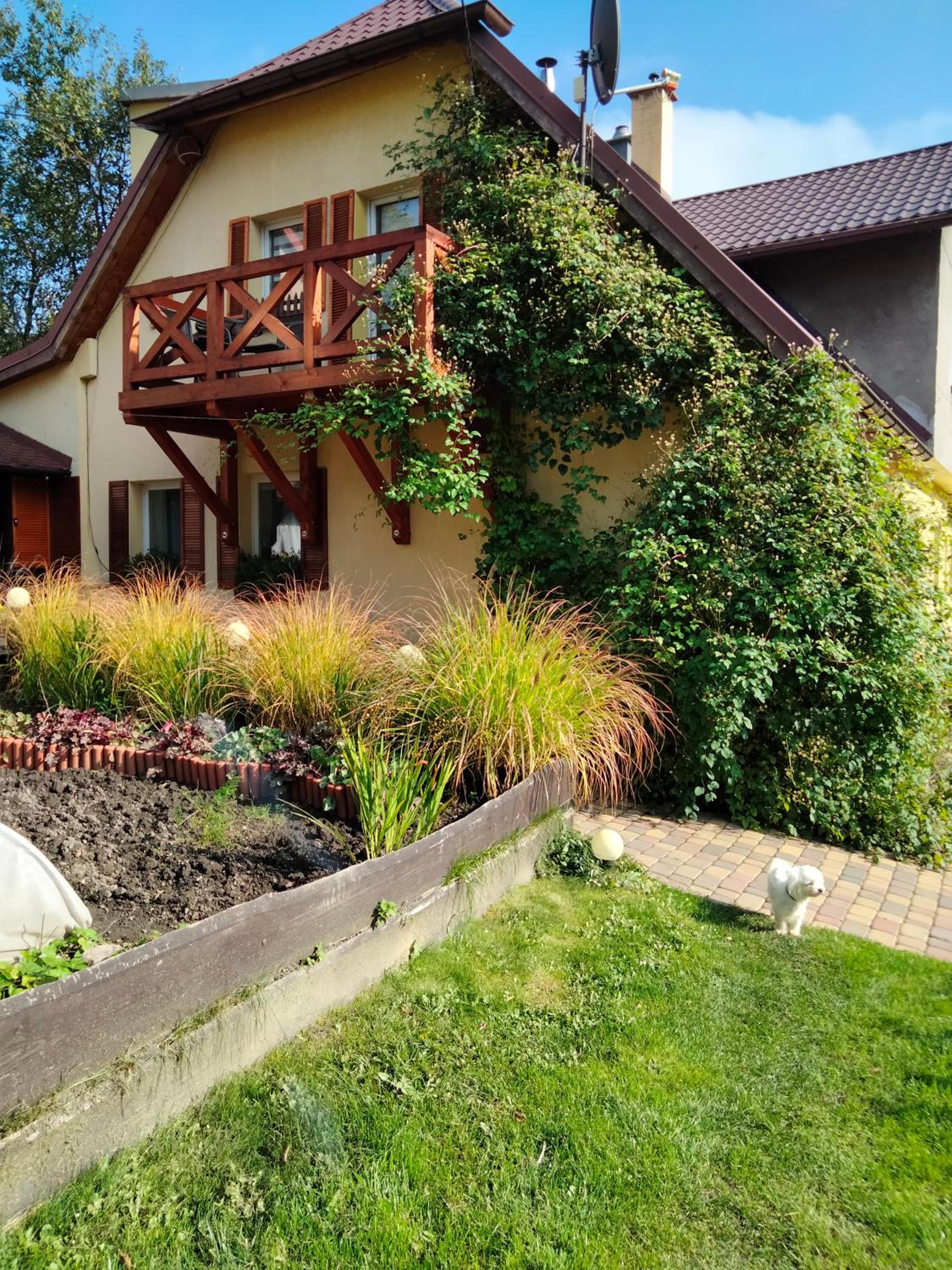 Apartment with Terrace photo 1