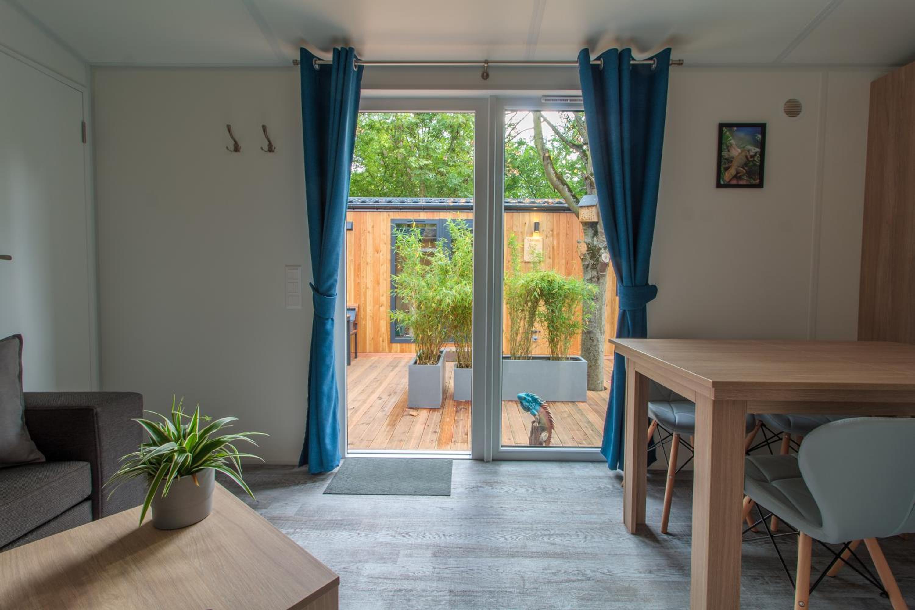 Three-Bedroom House photo 3