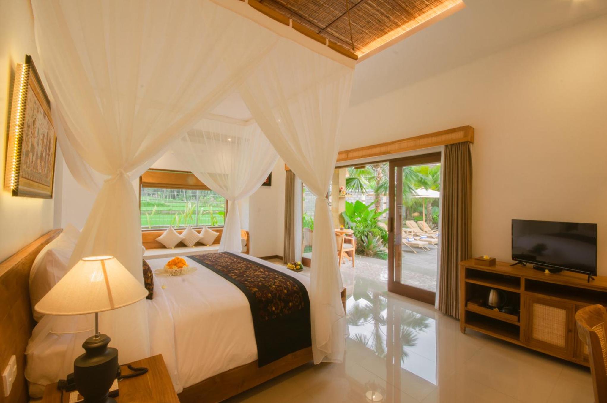 Suite - Photo 1