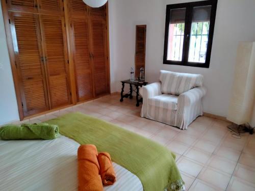 Suite - Photo 2