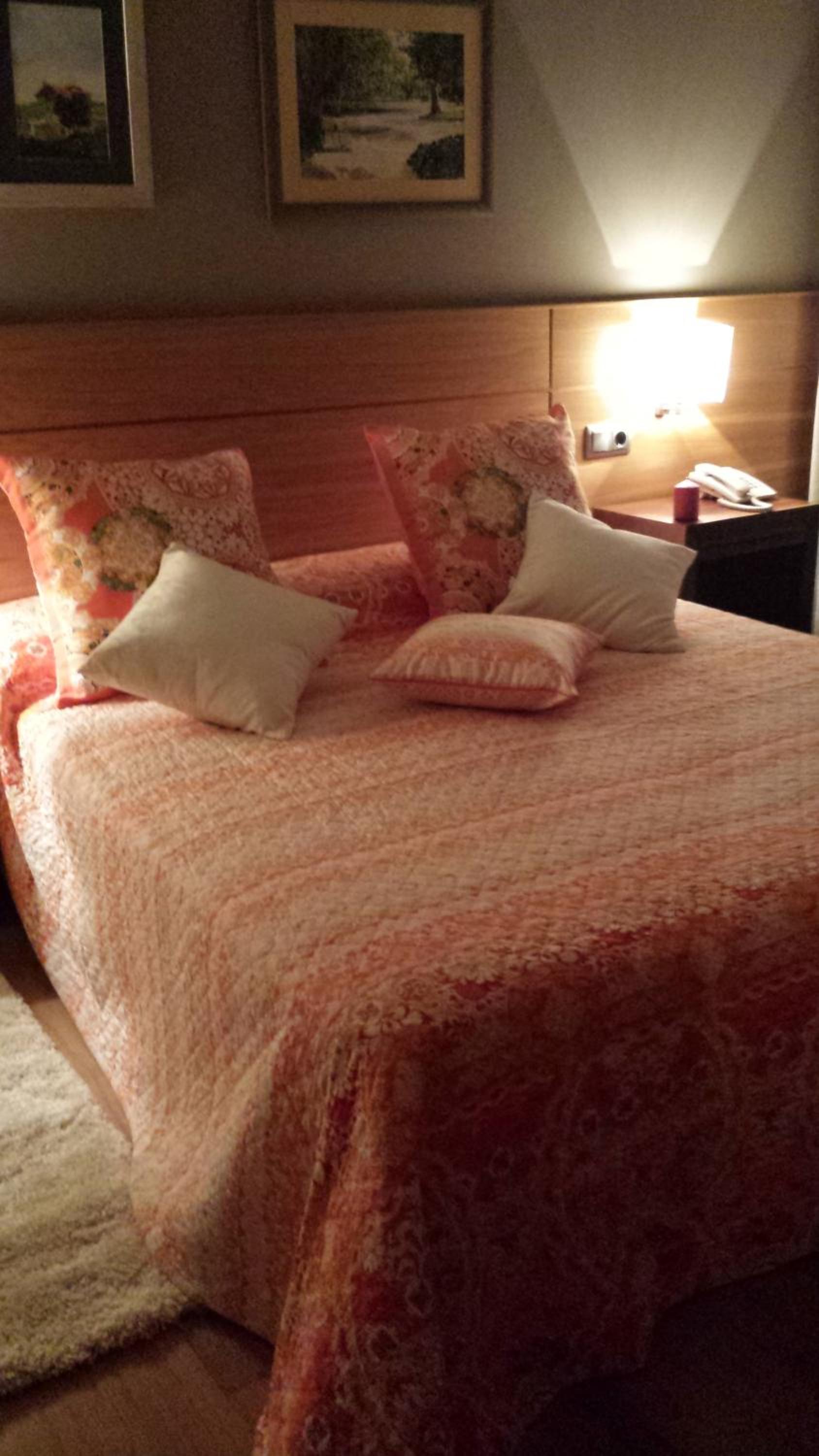 Single Room photo 3