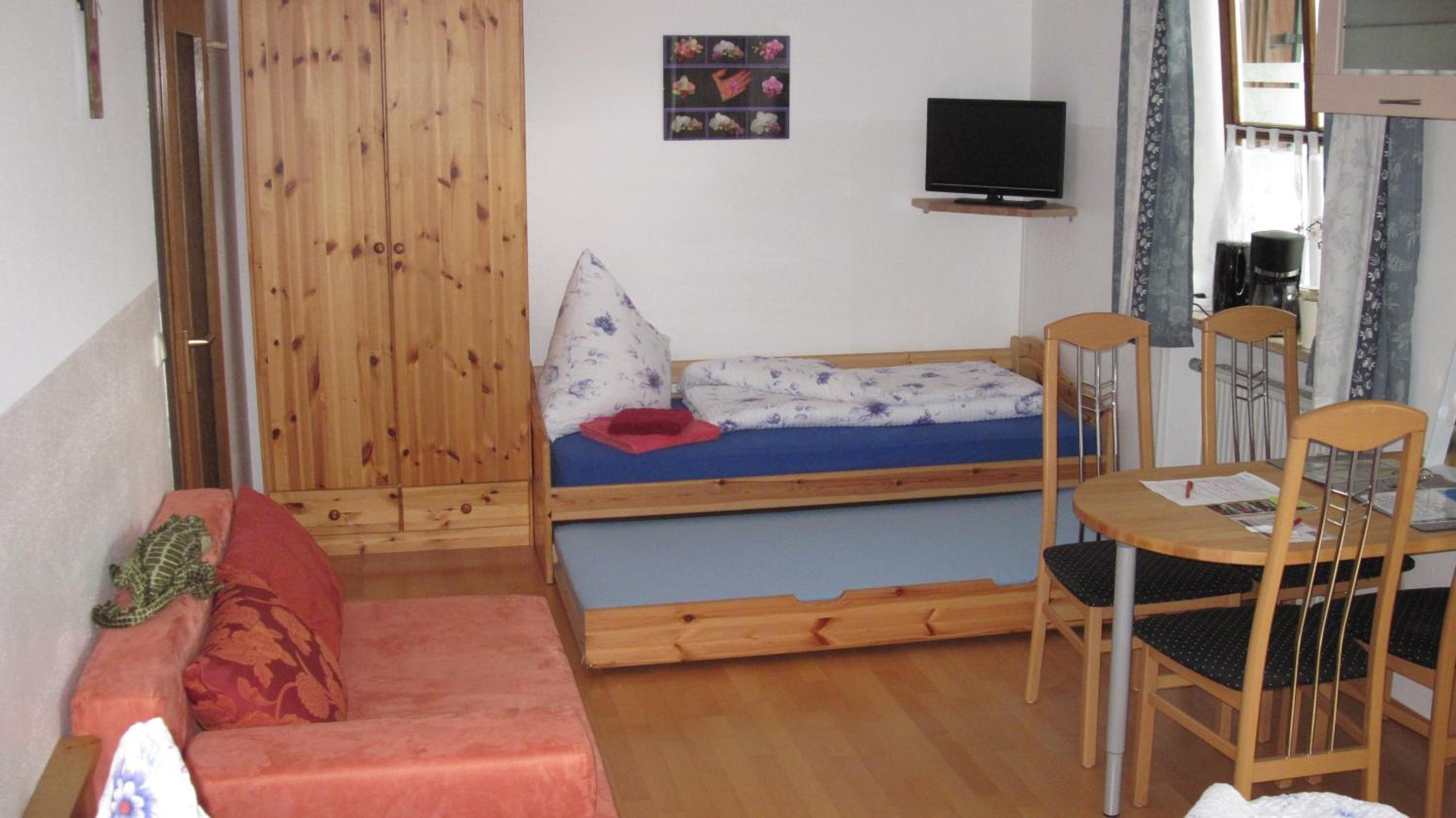 Studio with Terrace photo 3