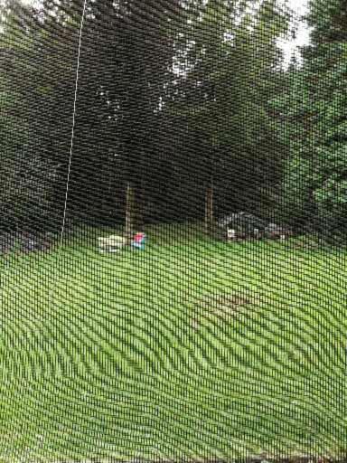 Studio with Garden View - Photo 12