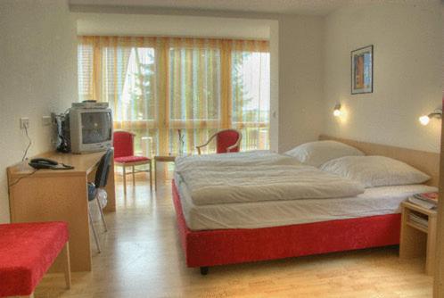 Apartment (1 Adult)