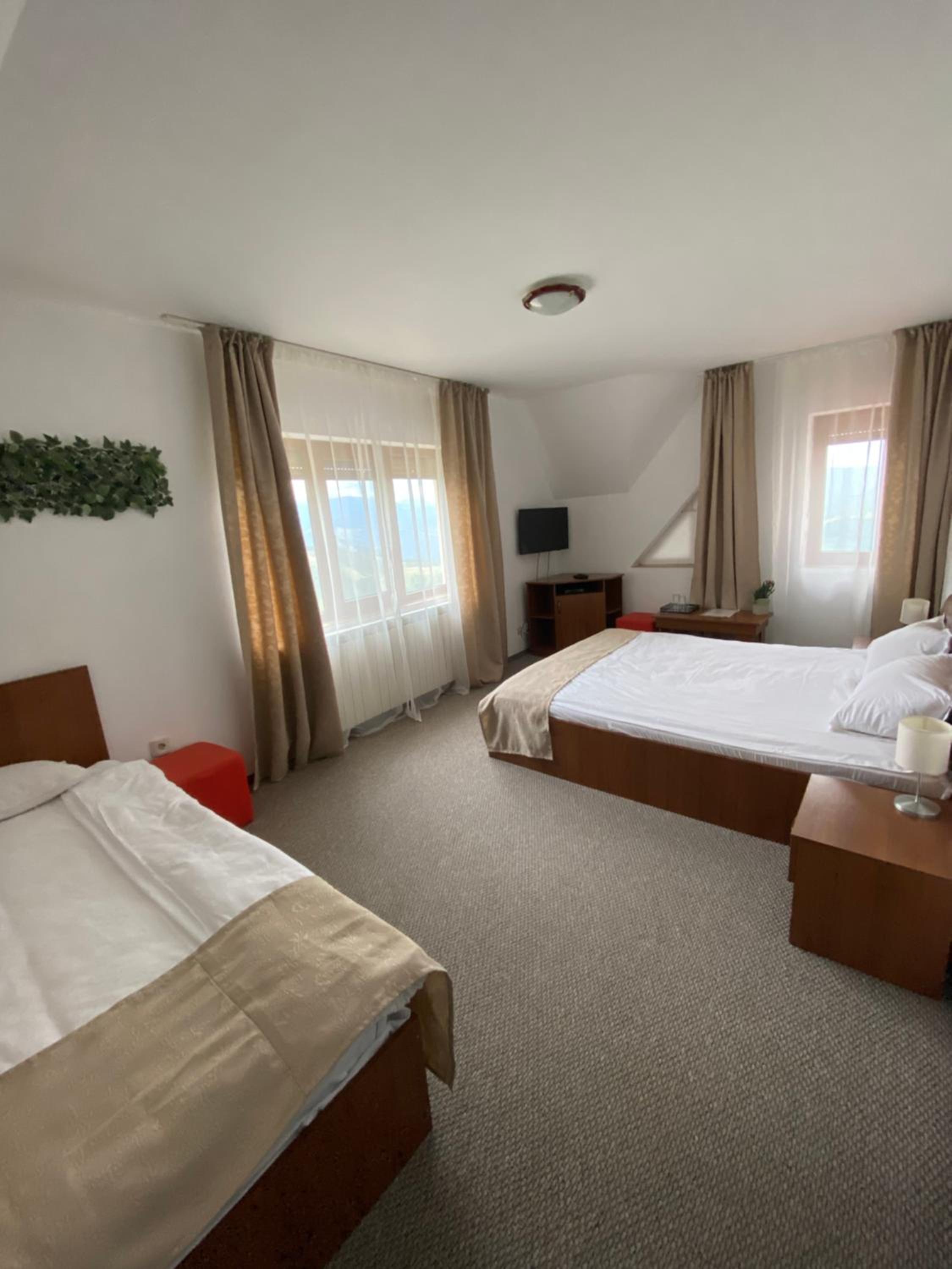 Triple Room with Mountain View photo 2