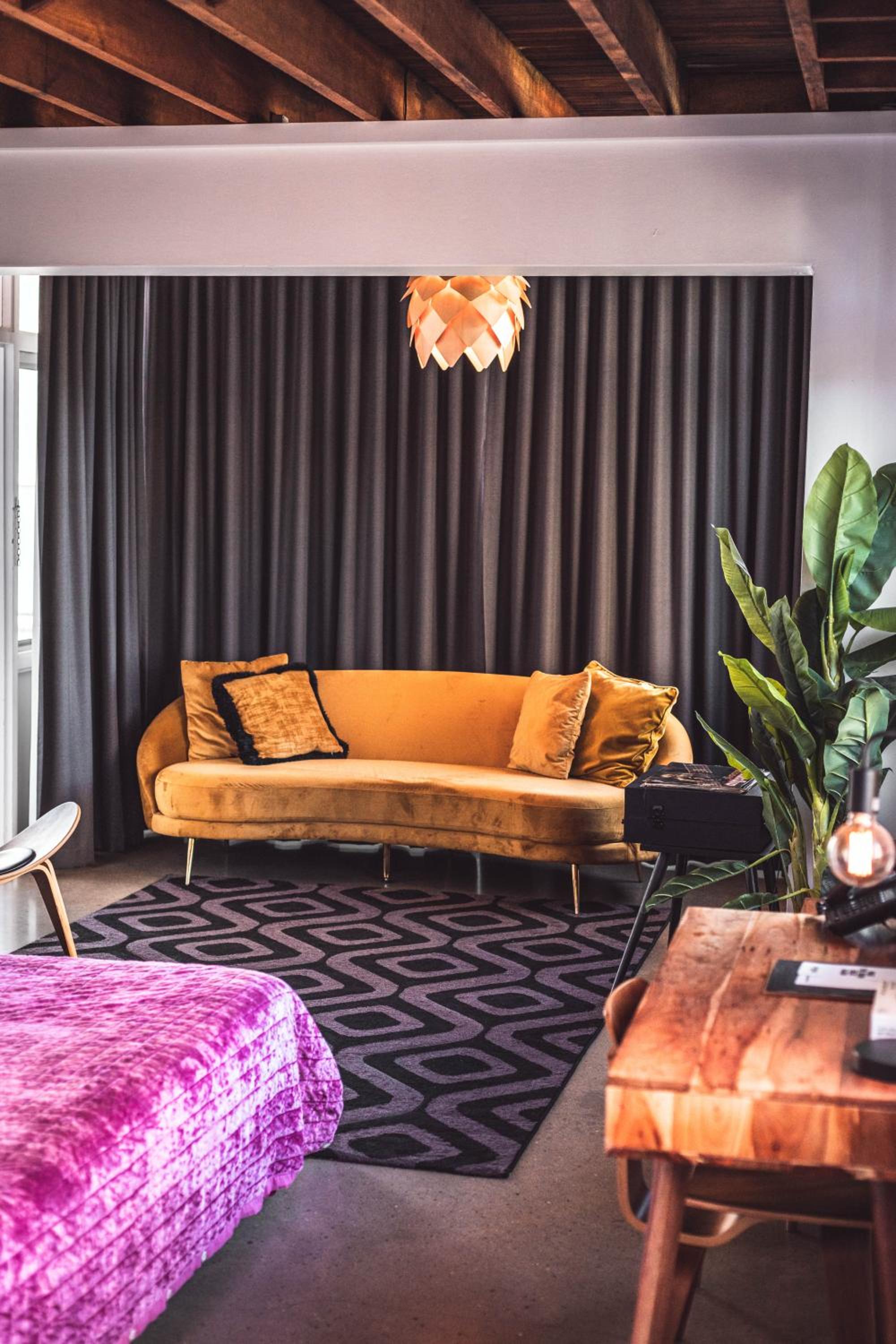 Medusa Suite - Photo 2