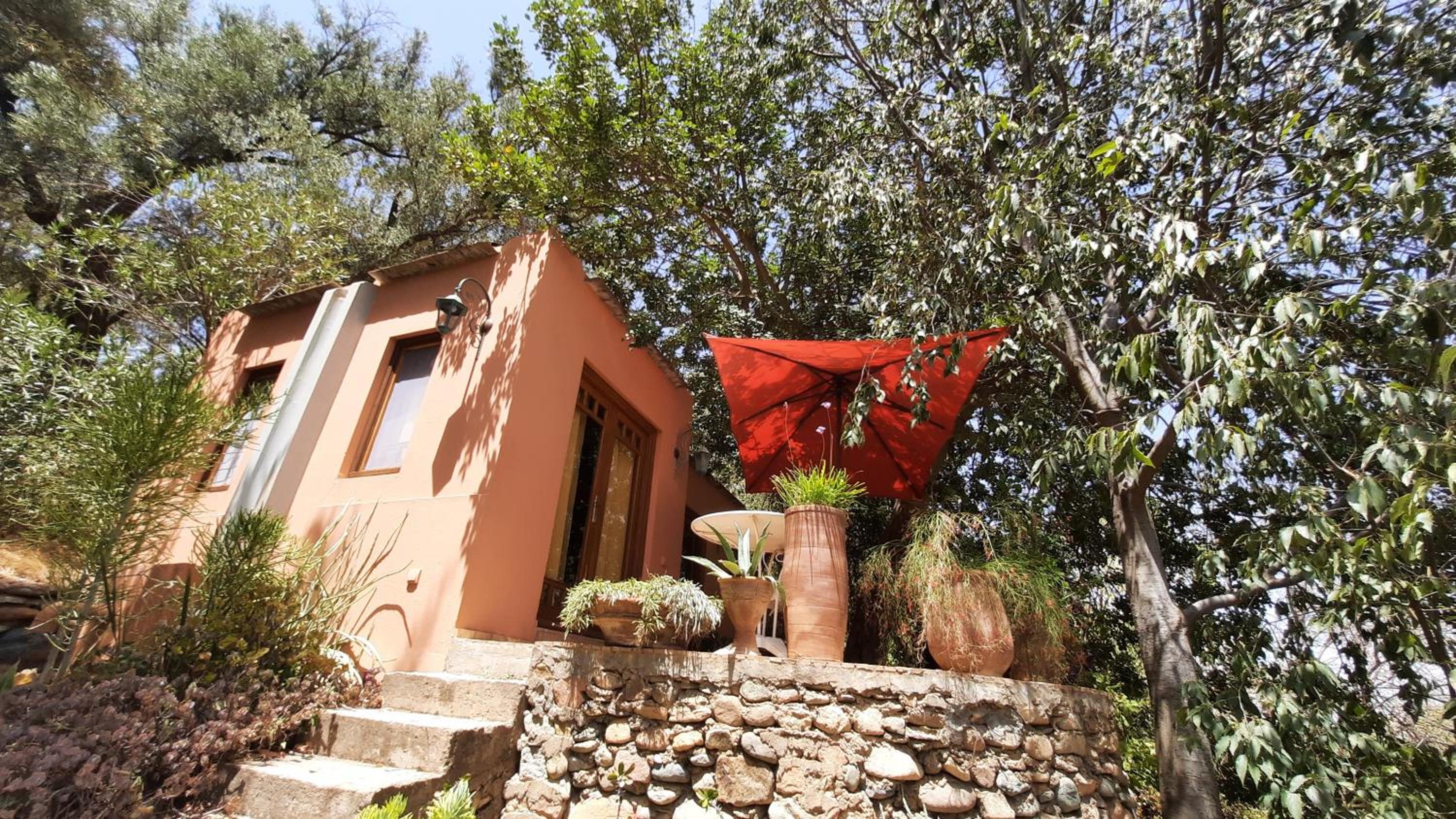One-Bedroom Villa photo 2