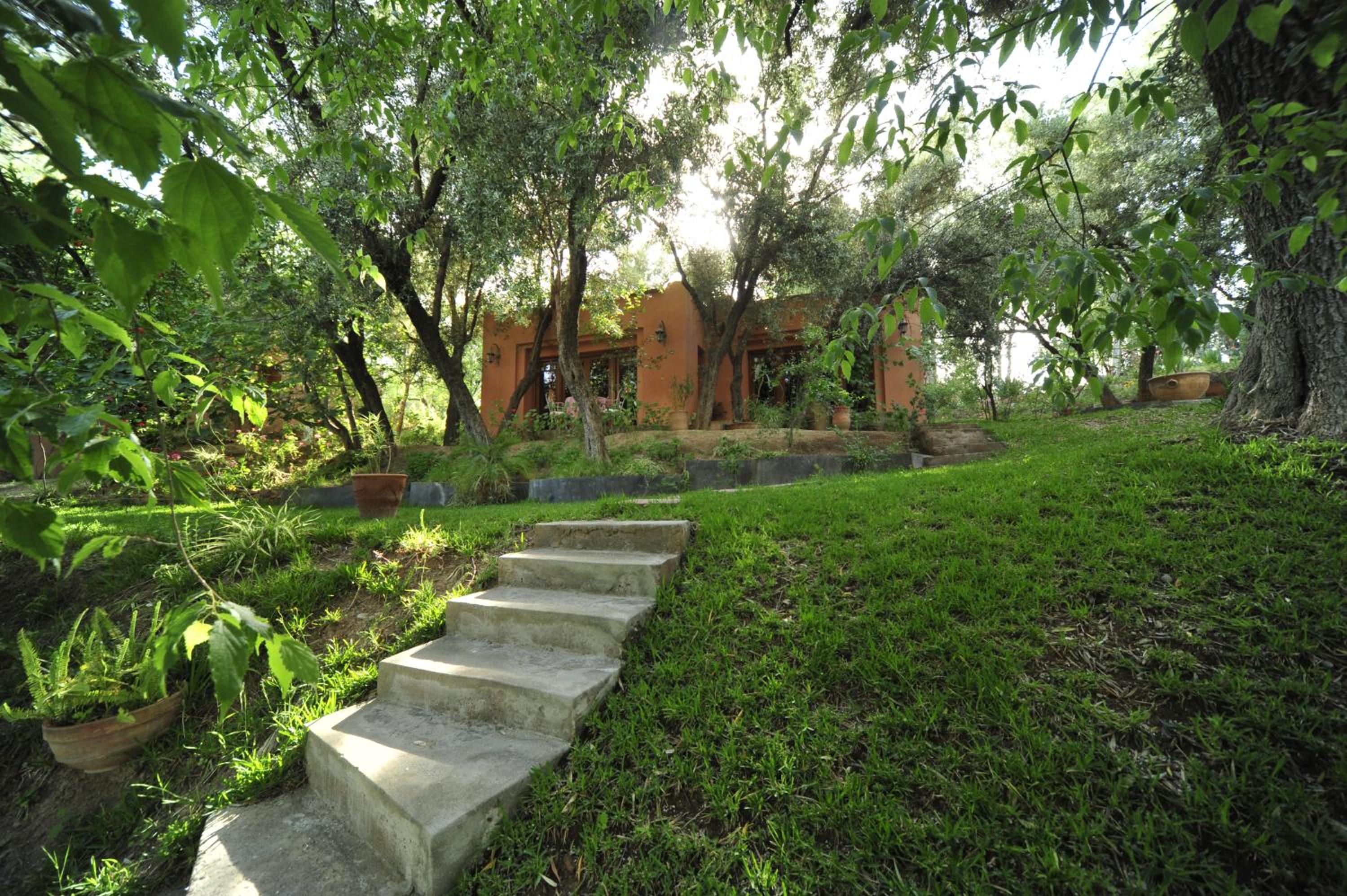 One-Bedroom Villa photo 2