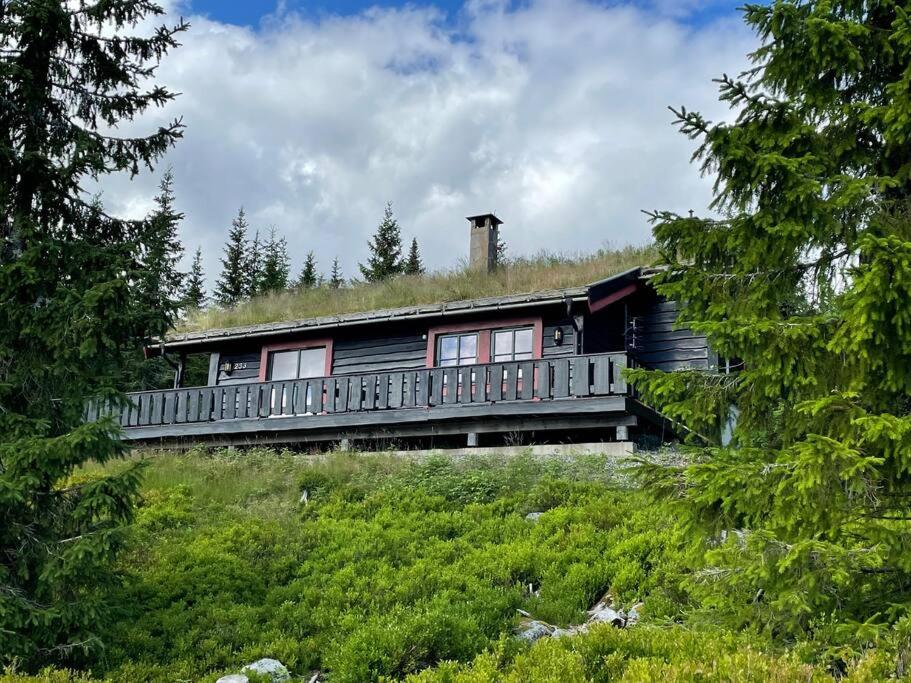 Three-Bedroom House photo 1