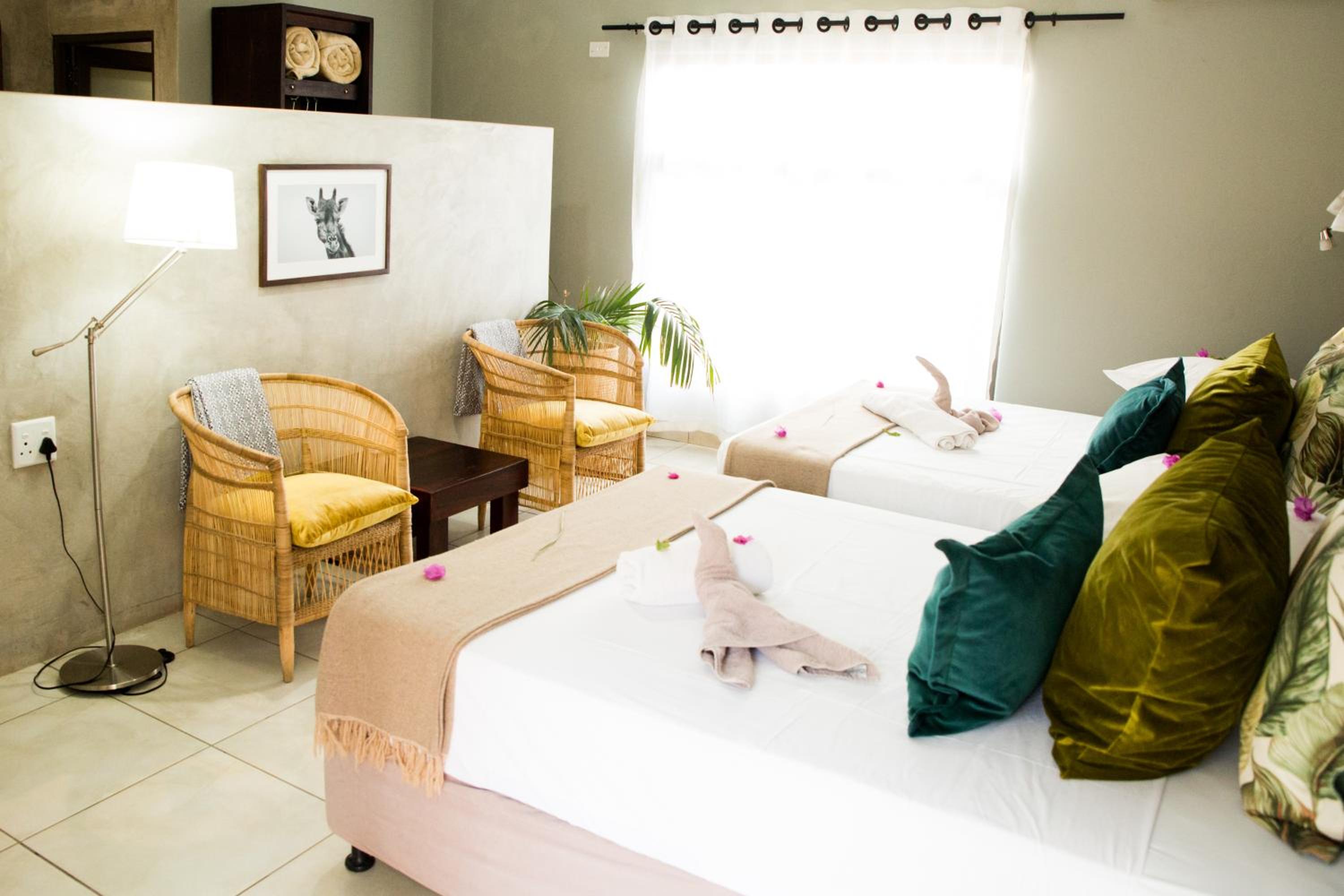 Twin Room With Terrace photo 3