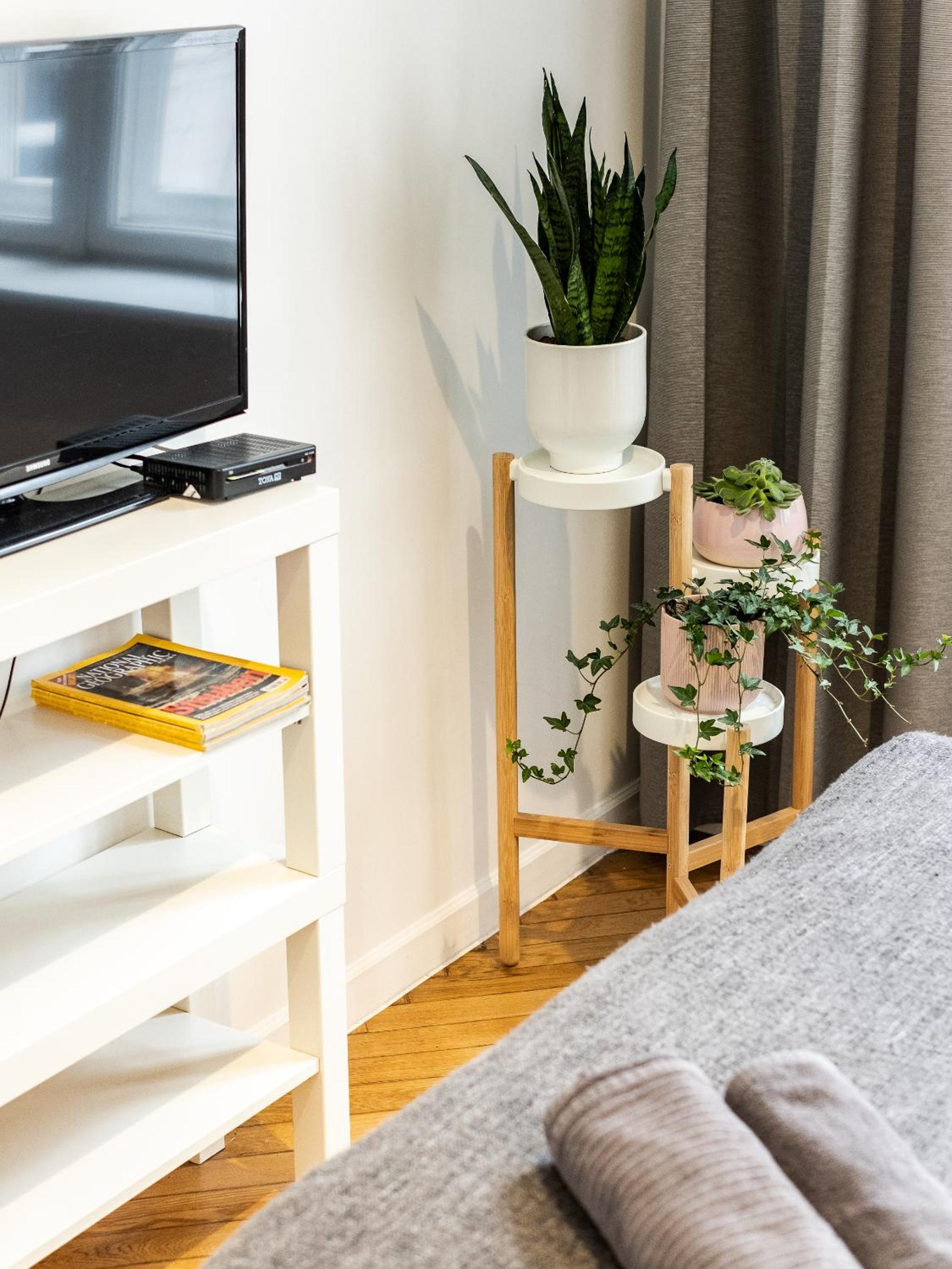 Studio Apartment photo 1