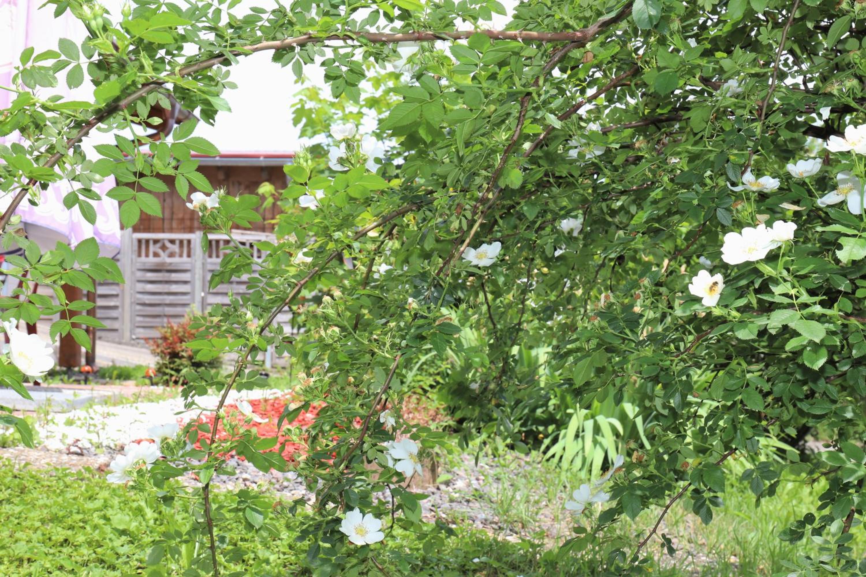 Double Room with Garden View - Photo 47