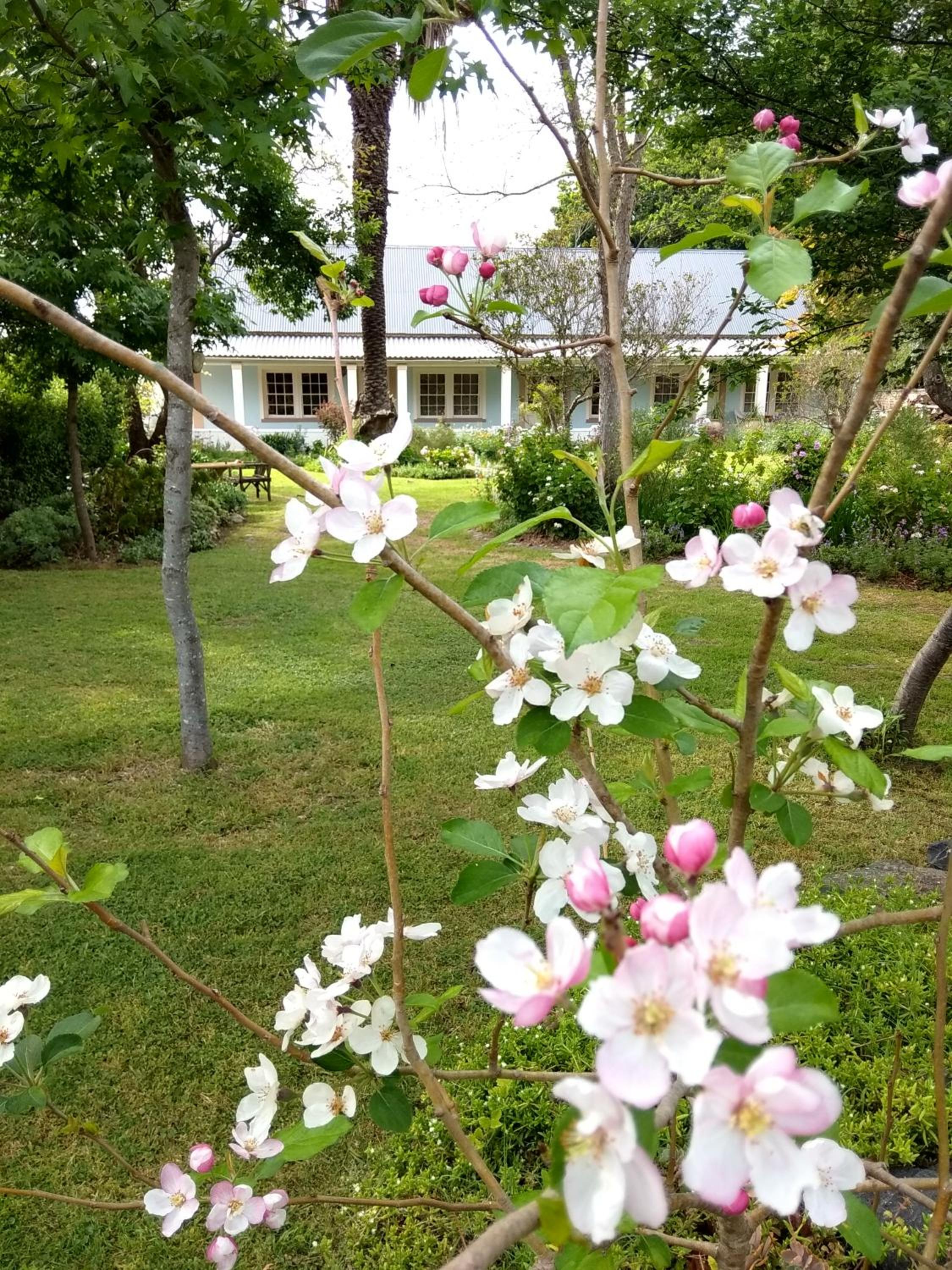 Suite with Garden View - Photo 3