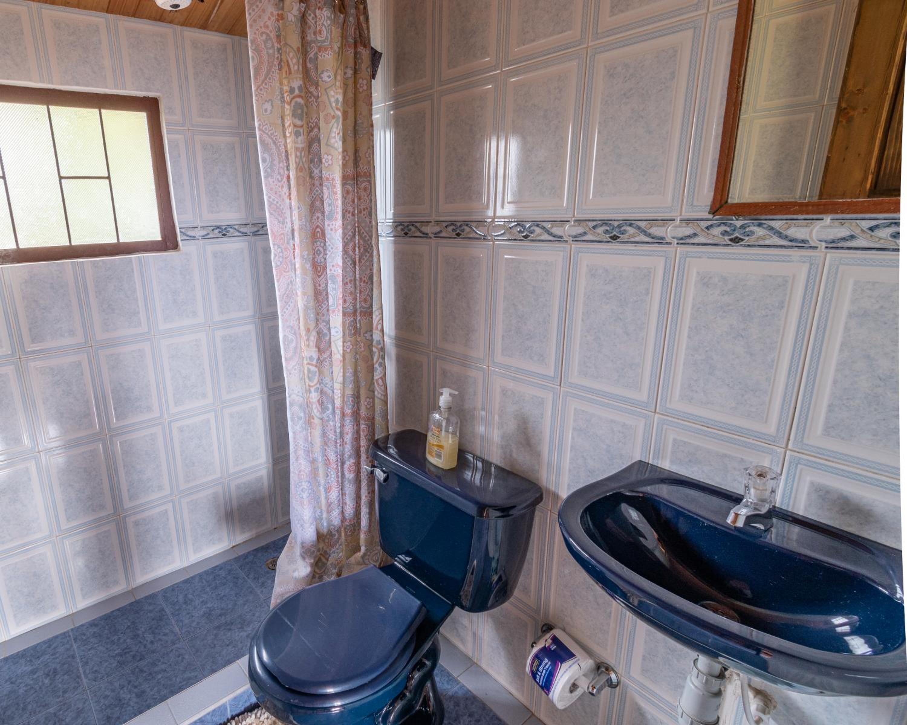 Three-Bedroom House photo 3