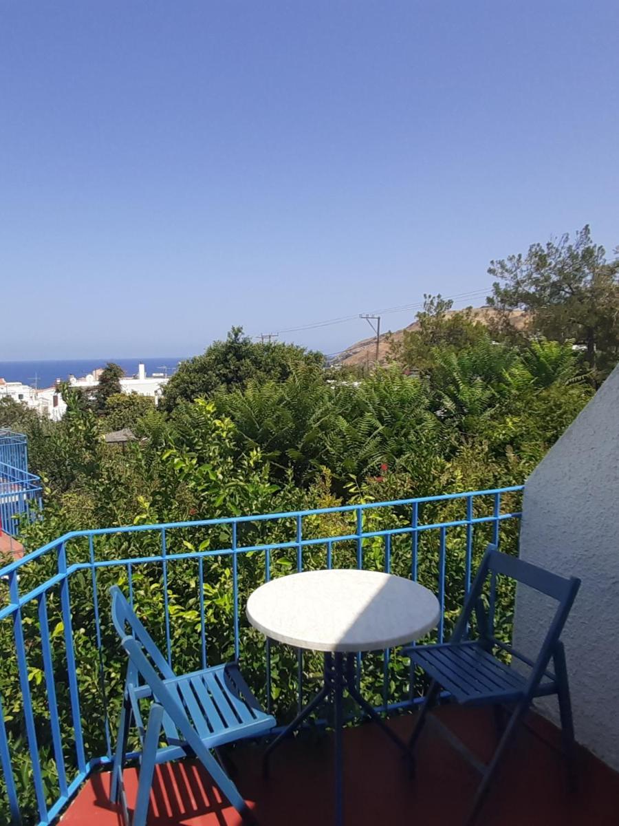 Economy Double or Twin Room photo 2