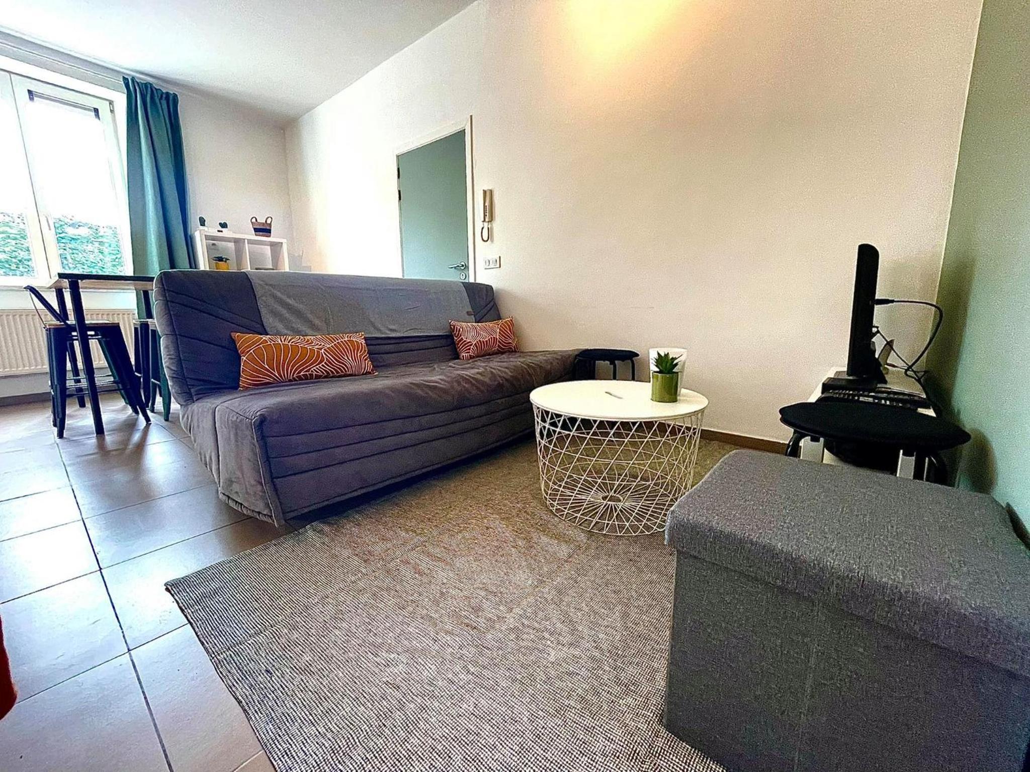 One-Bedroom Apartment photo 3