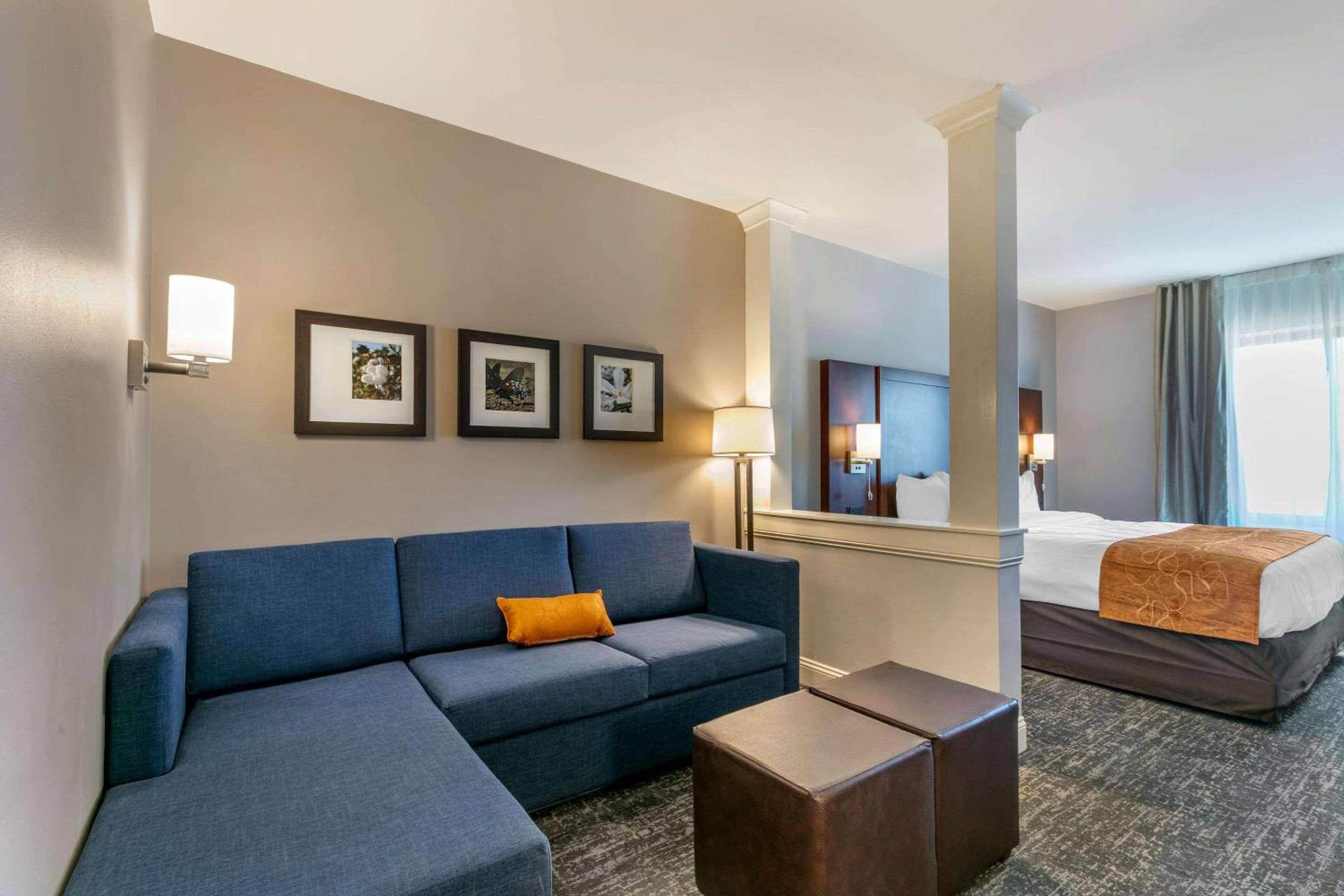 King Suite - Mobility Accessible/Non-Smoking - Photo 5