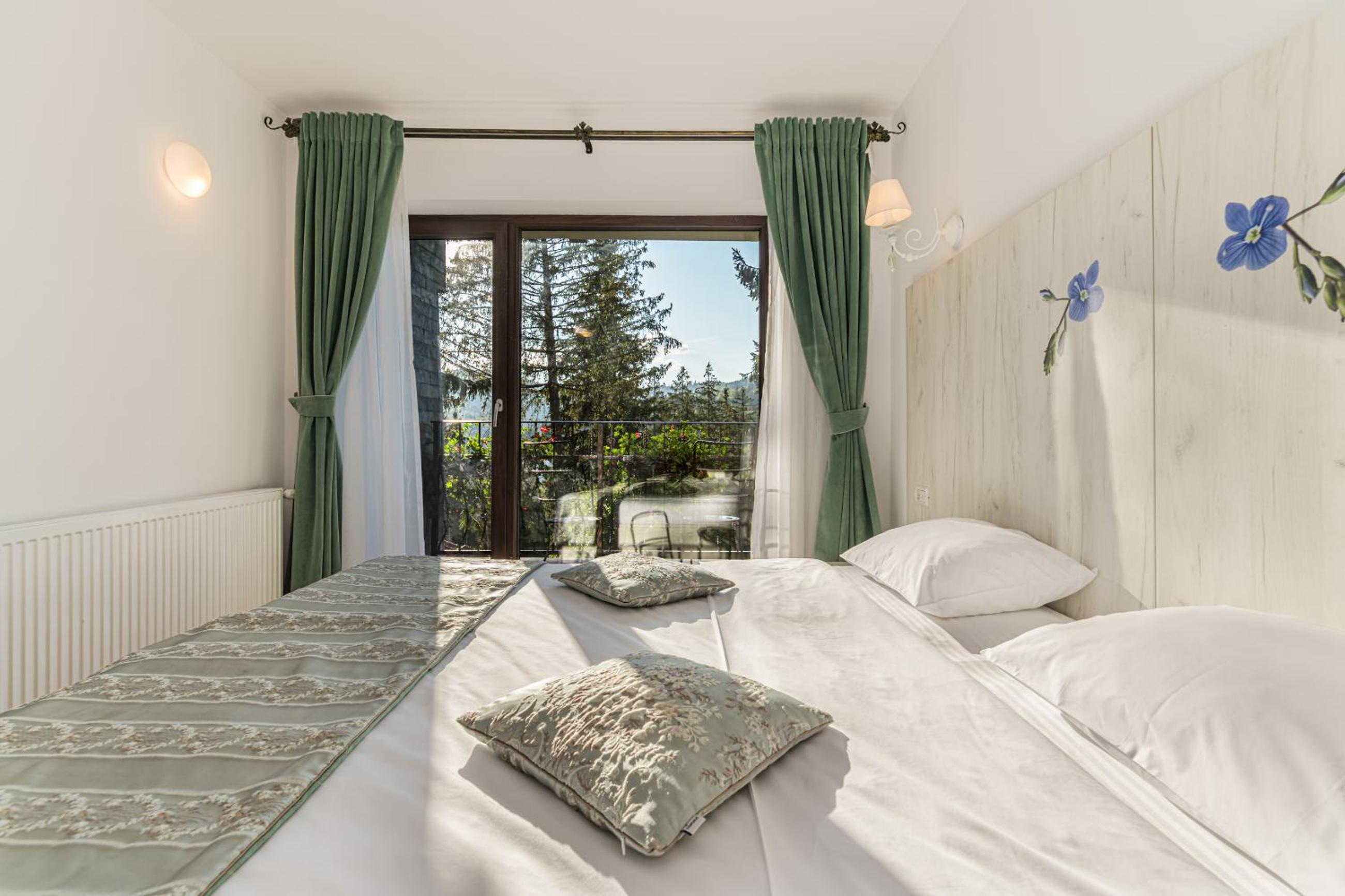 Double or Twin Room with Mountain View